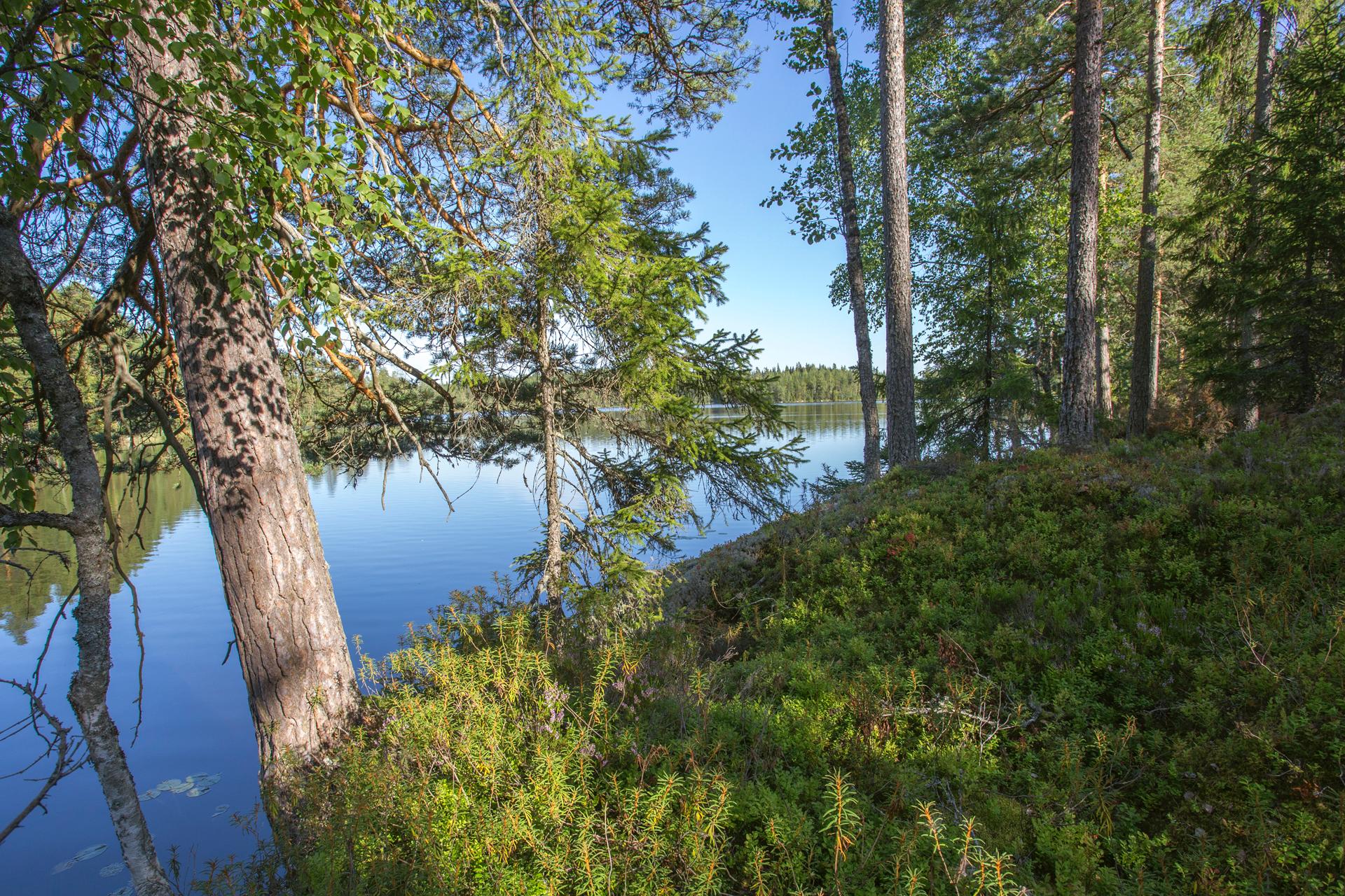 Jakamantie 151, Velaatta, Tampere