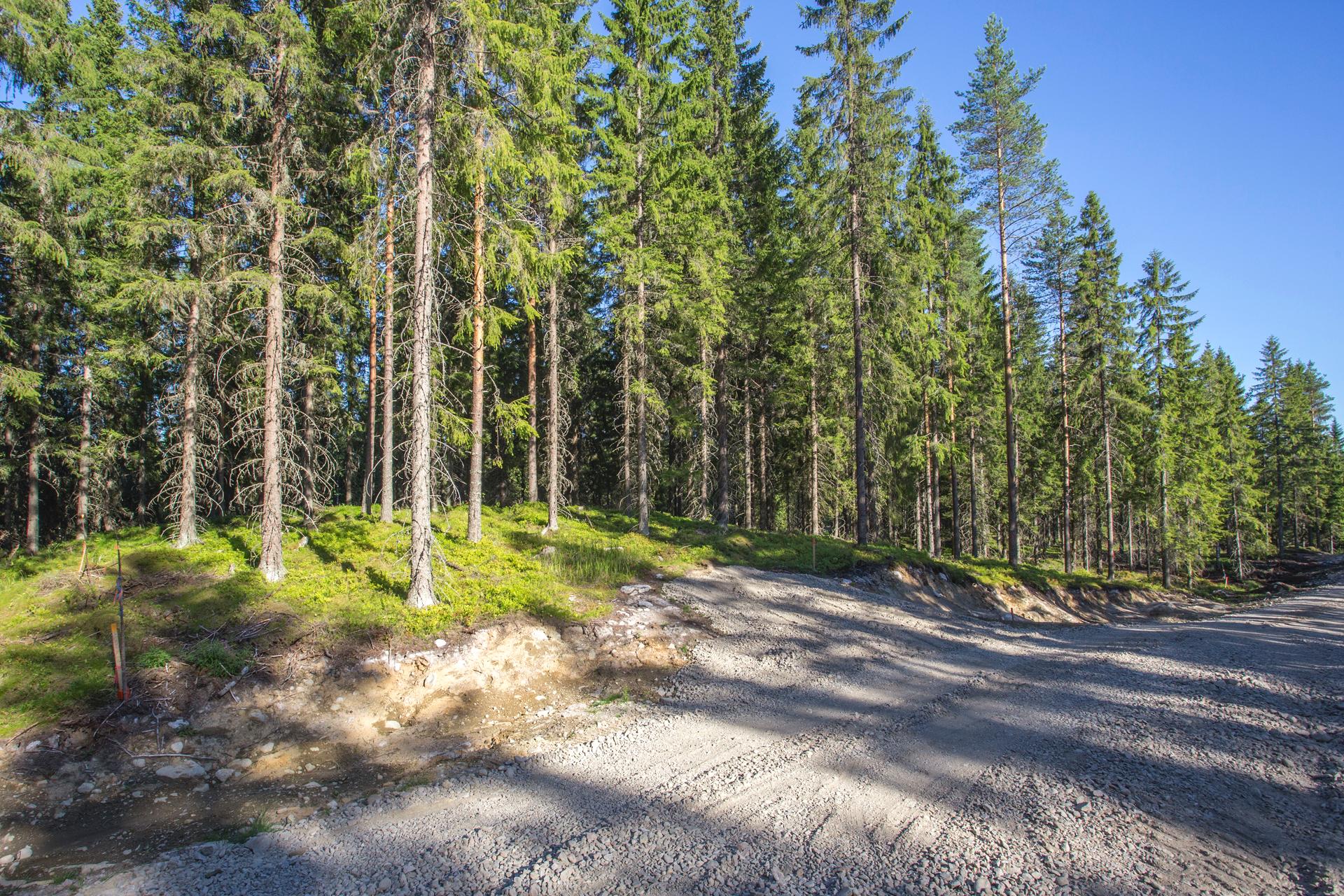 Jakamantie 151, Velaatta, Tampere