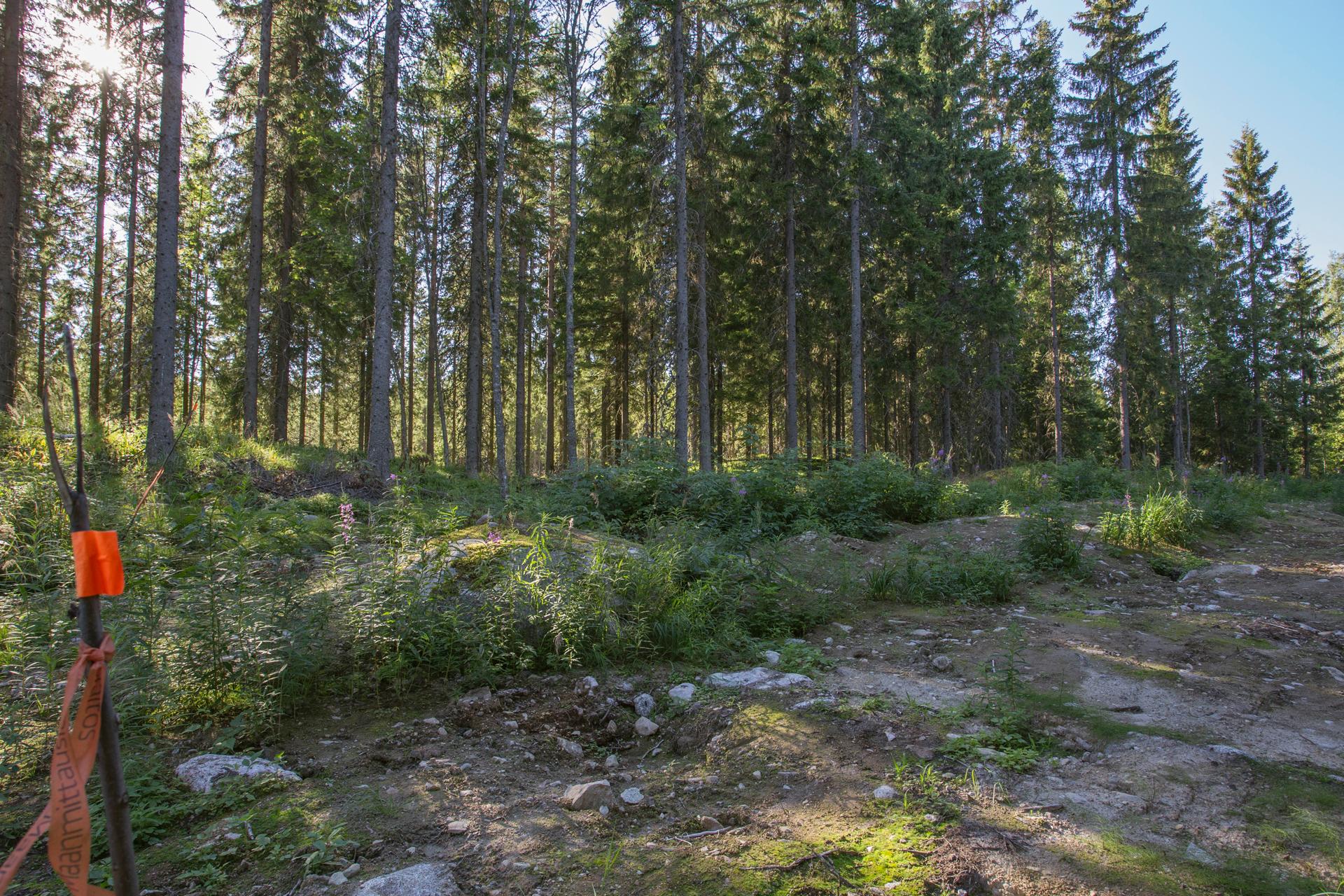 Jakamantie 151, Velaatta, Tampere