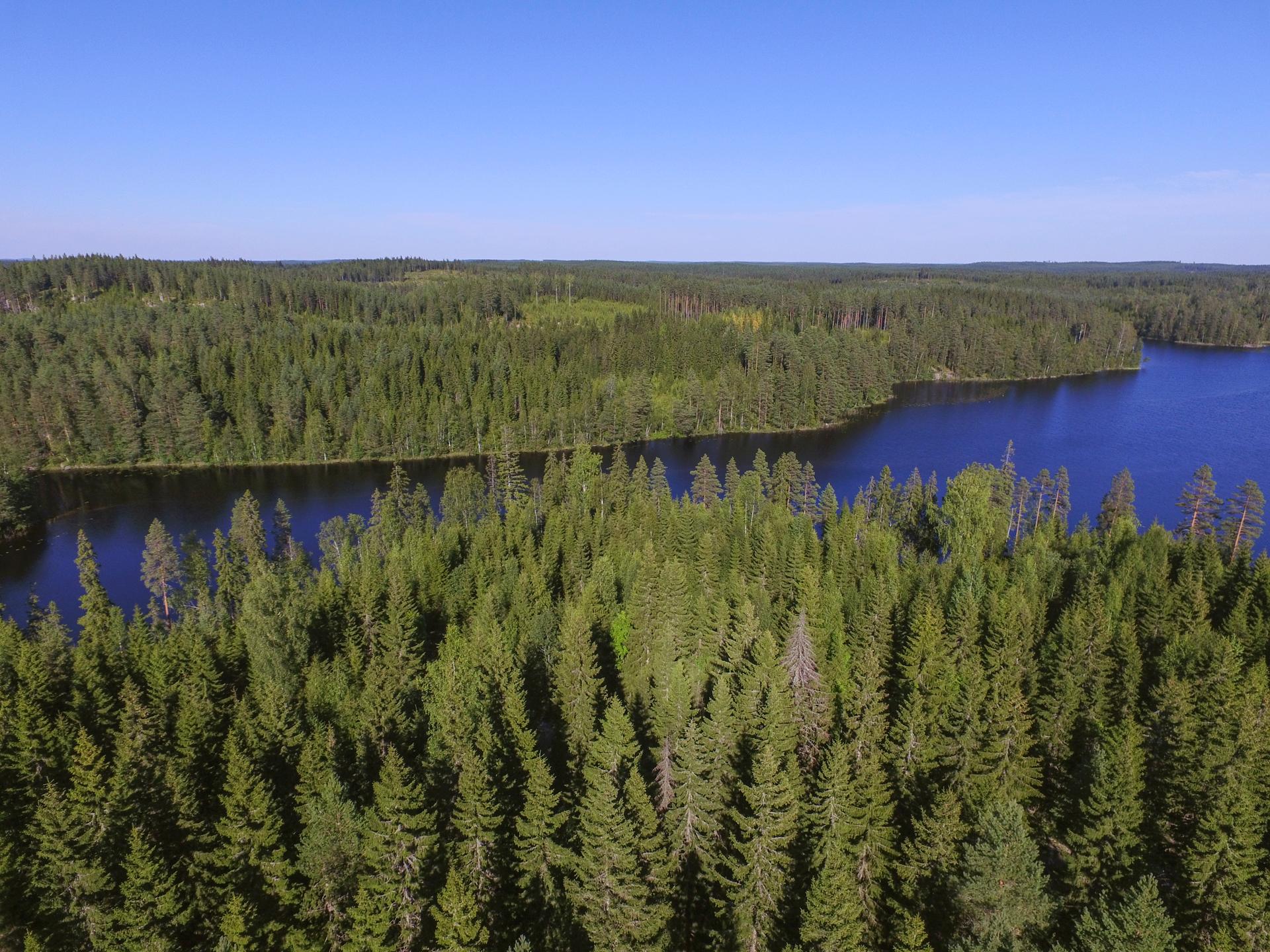 Jakamantie 151, Velaatta, Tampere