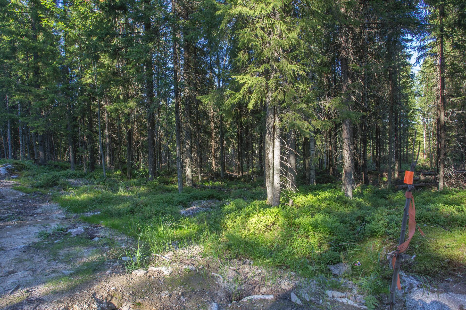 Jakamantie 151, Velaatta, Tampere