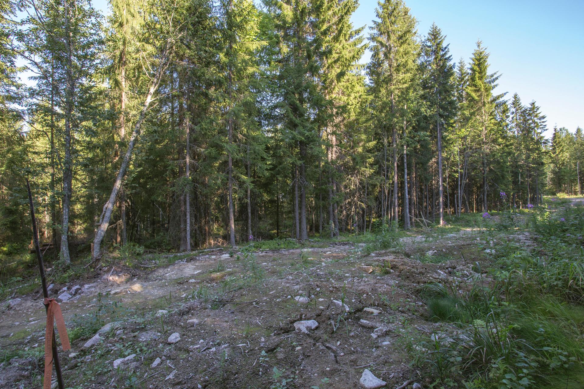 Jakamantie 151, Velaatta, Tampere