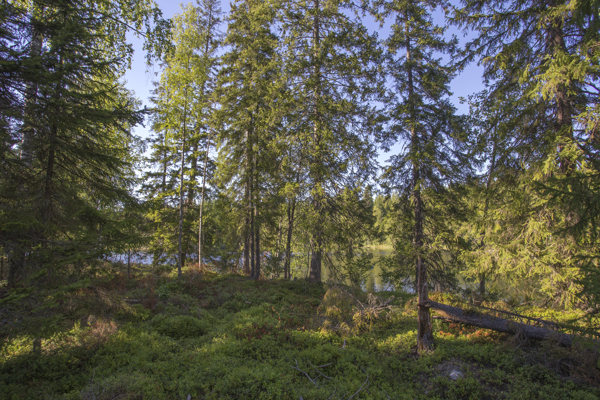 Jakamantie 153, Velaatta, Tampere
