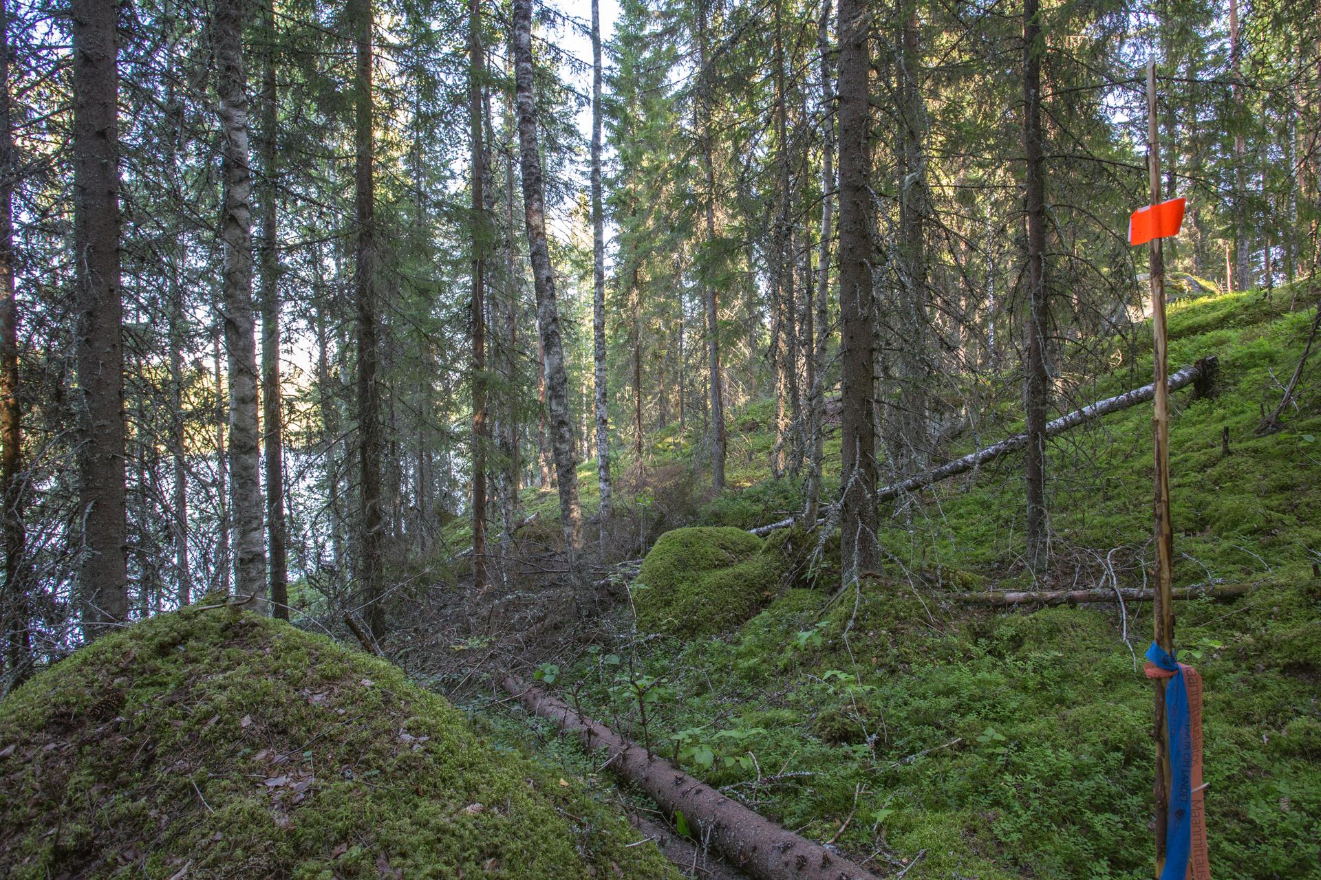 Jakamantie 153, Velaatta, Tampere