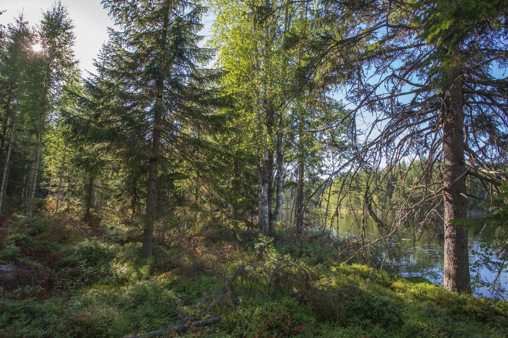 Jakamantie 153, Velaatta, Tampere