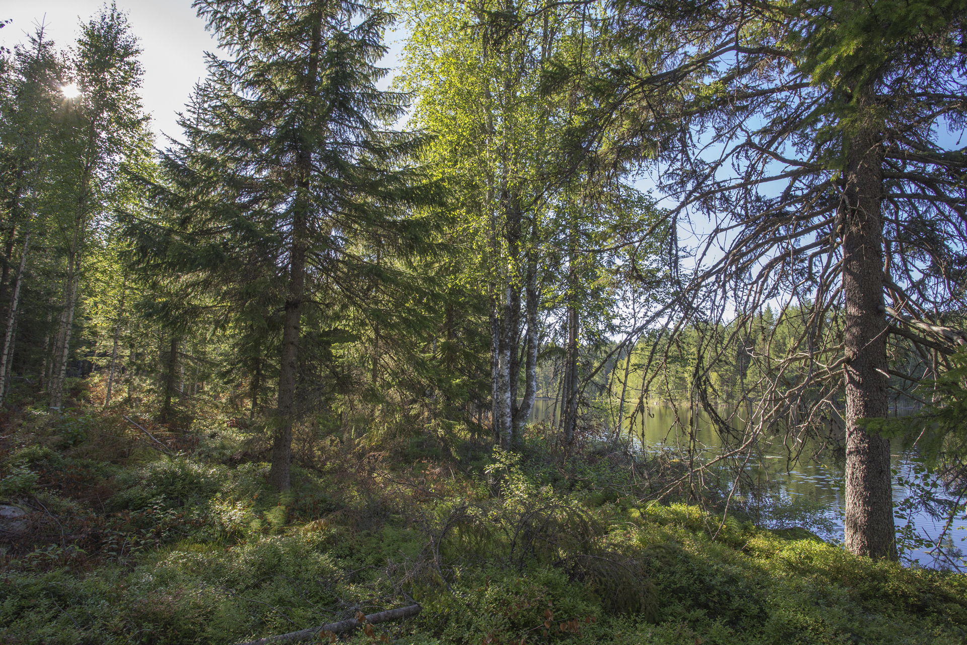 Jakamantie 153, Velaatta, Tampere