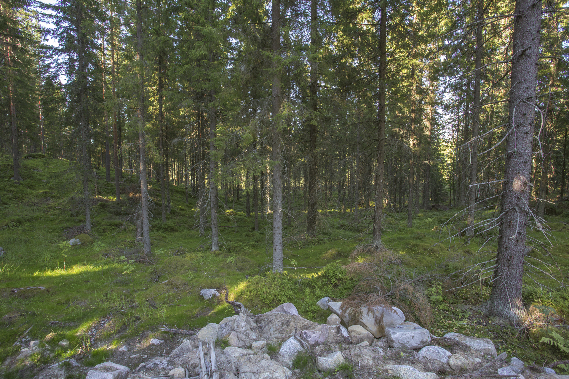 Jakamantie 153, Velaatta, Tampere