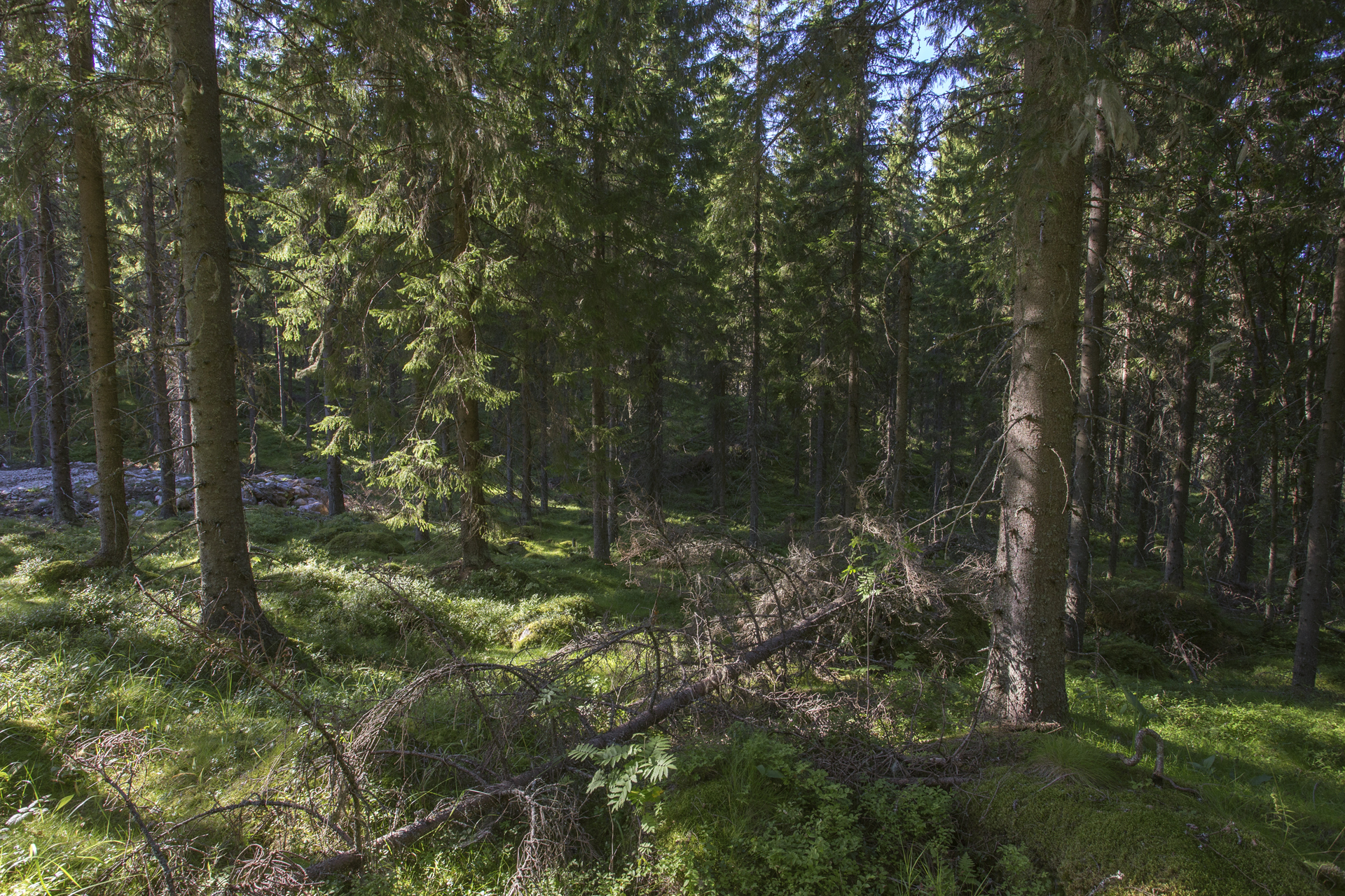 Jakamantie 153, Velaatta, Tampere