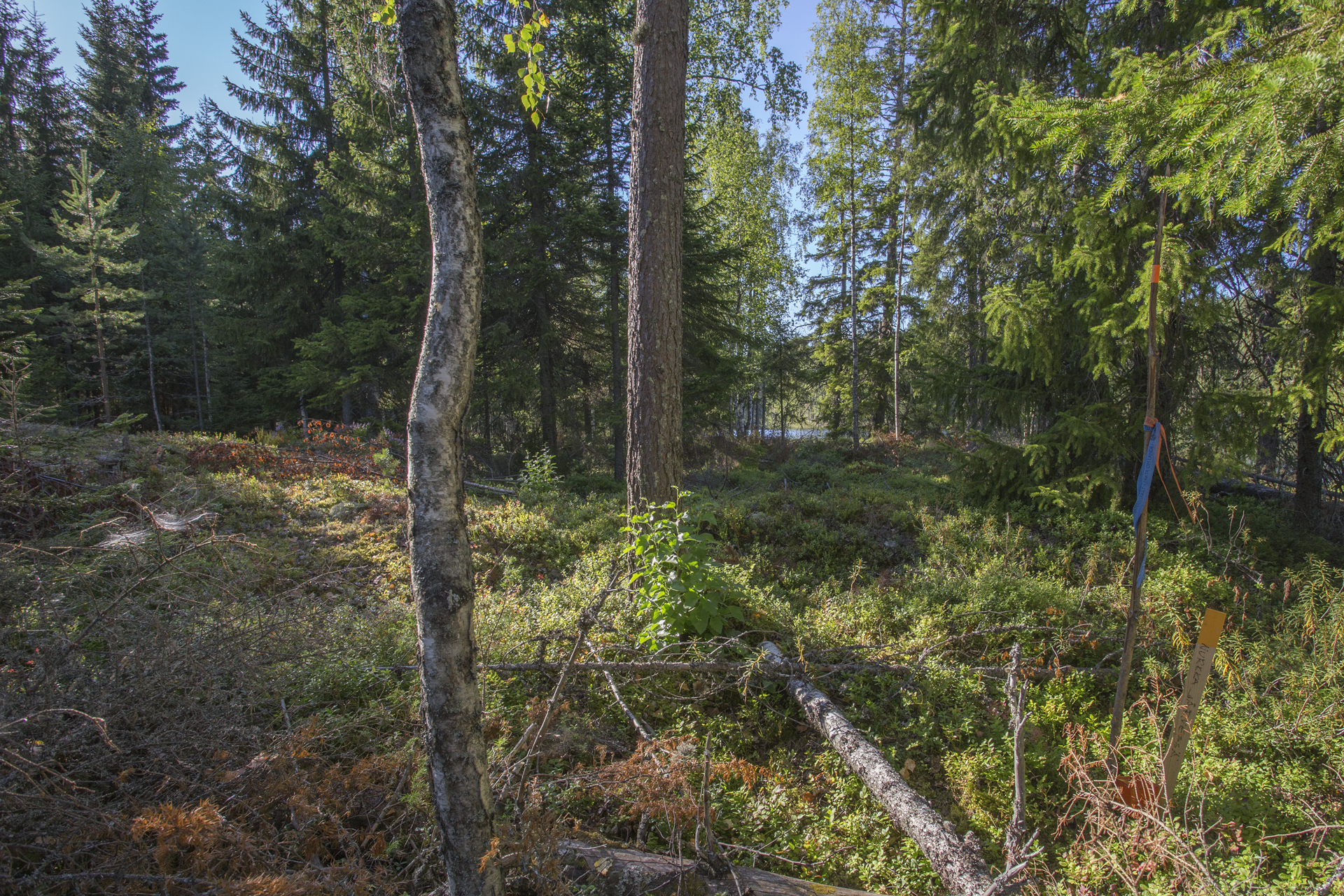 Jakamantie 153, Velaatta, Tampere