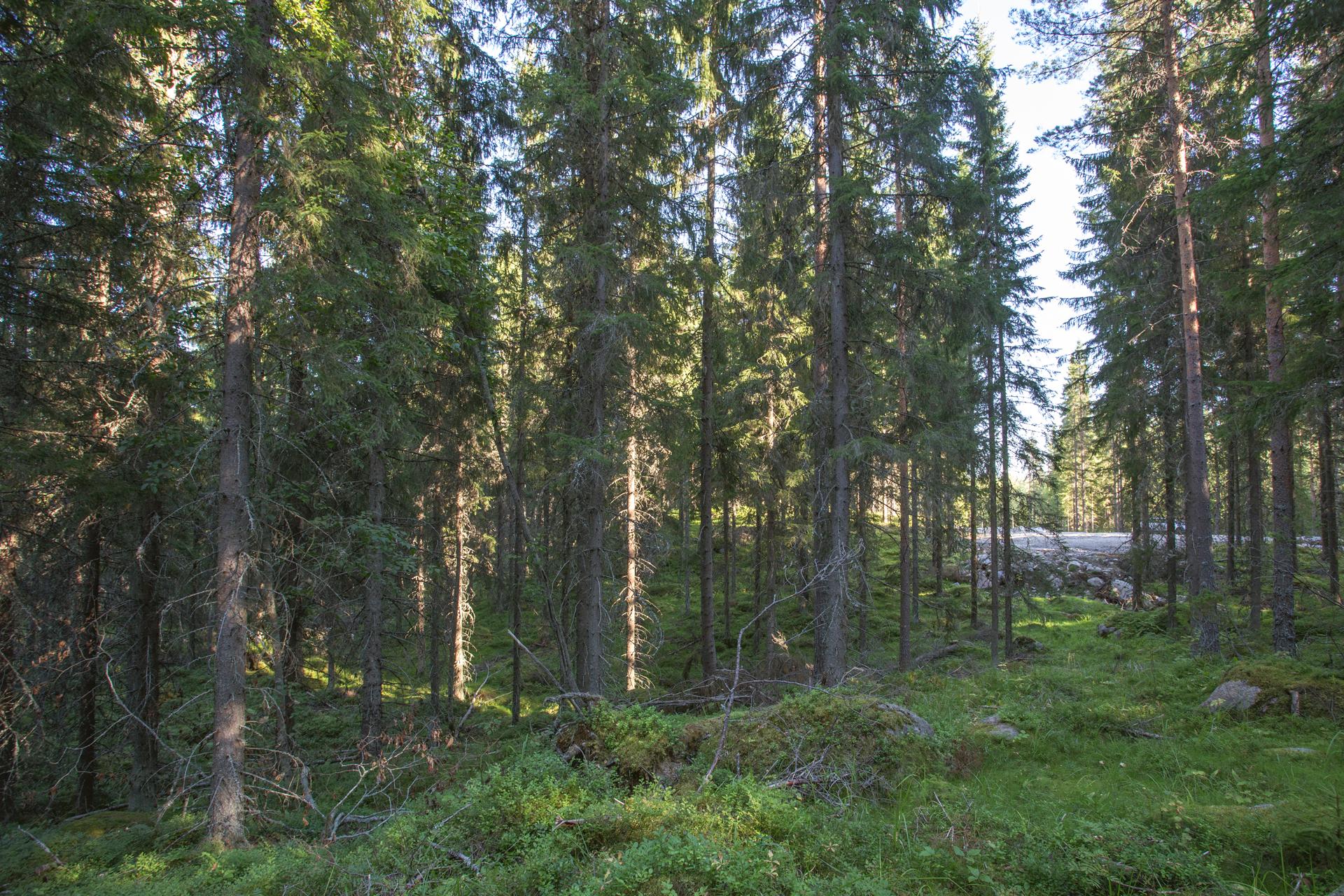 Jakamantie 153, Velaatta, Tampere