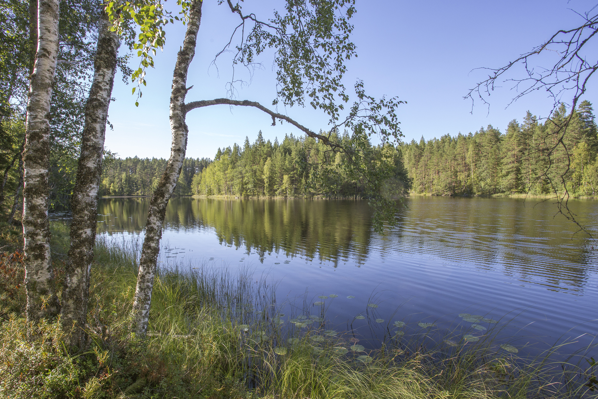 Jakamantie 153, Velaatta, Tampere