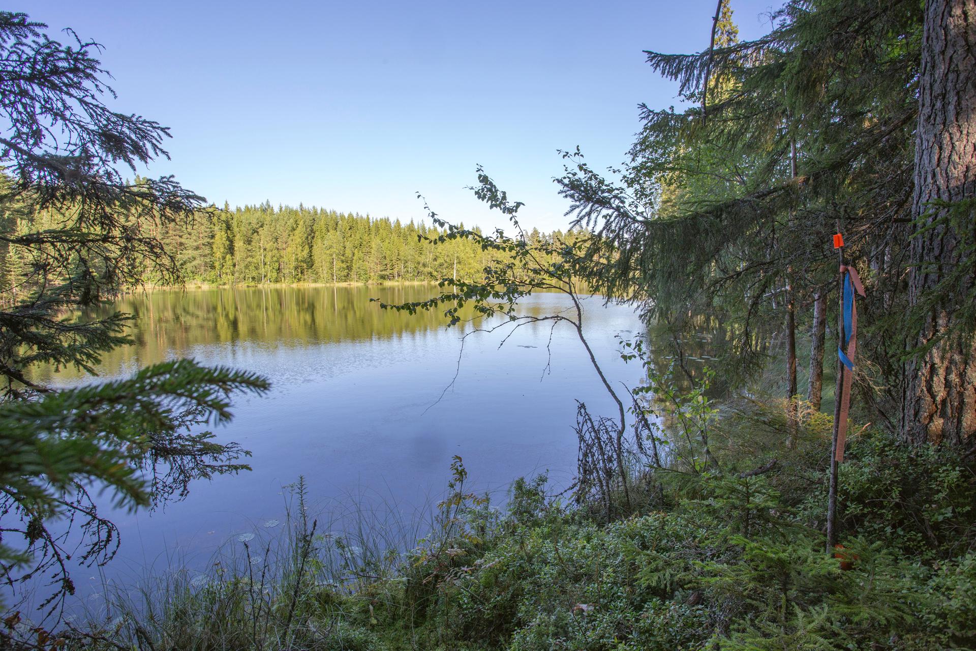 Jakamantie 153, Velaatta, Tampere