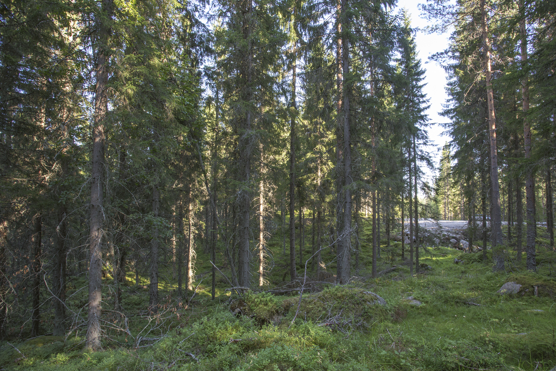 Jakamantie 153, Velaatta, Tampere