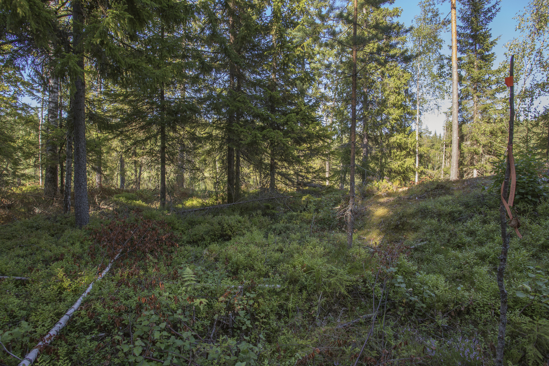 Jakamantie 153, Velaatta, Tampere