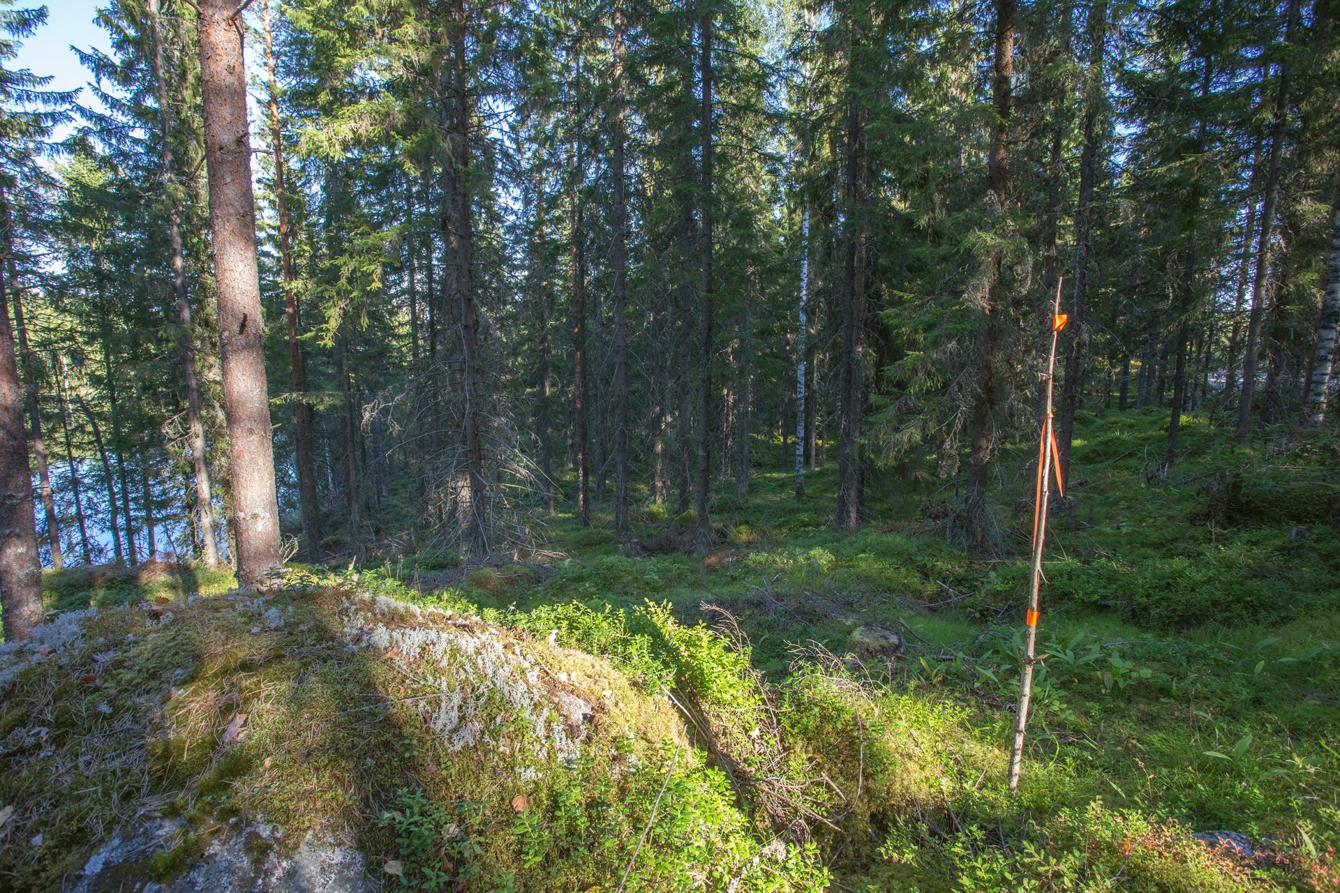 Jakamantie 153, Velaatta, Tampere