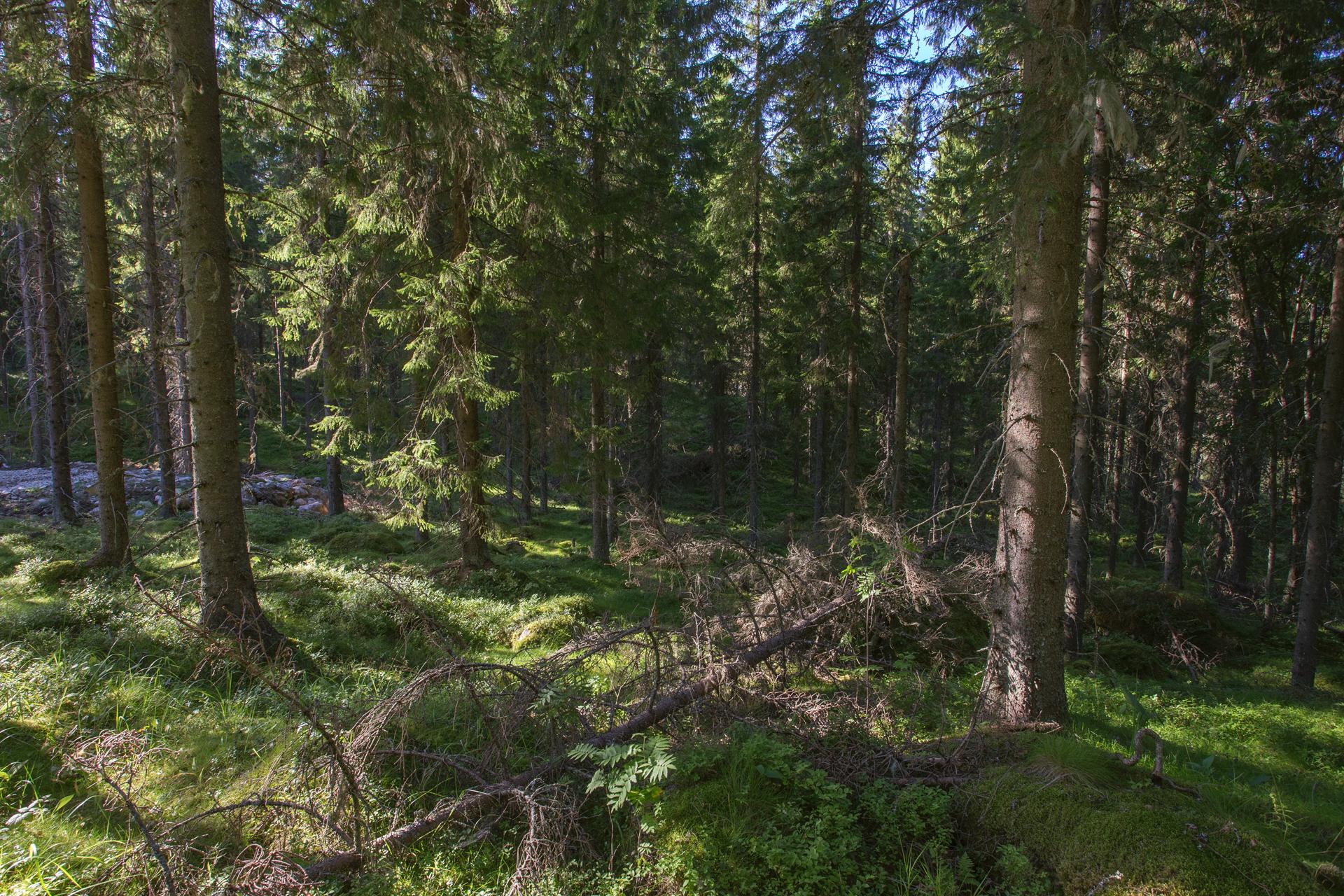 Jakamantie 153, Velaatta, Tampere