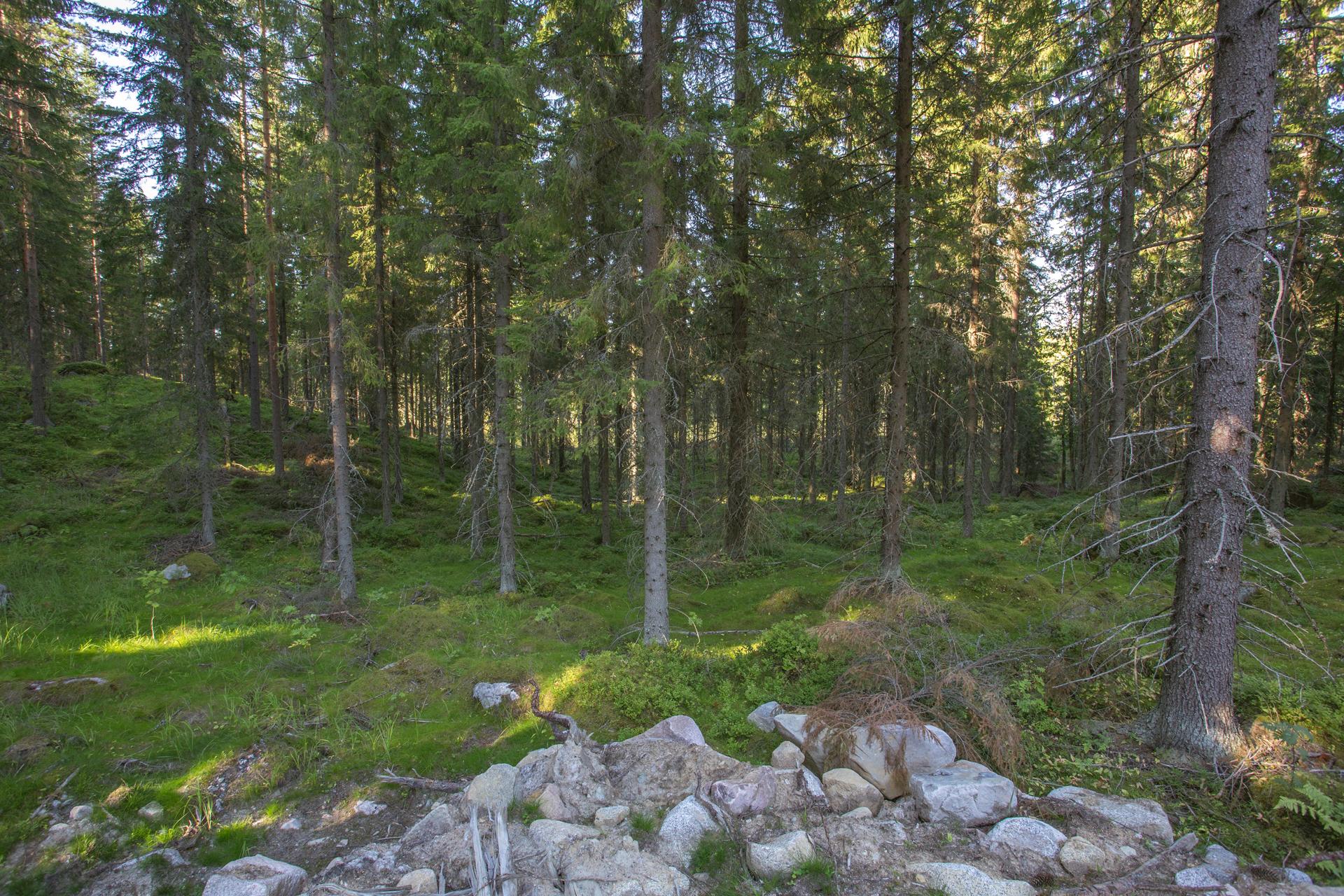 Jakamantie 153, Velaatta, Tampere