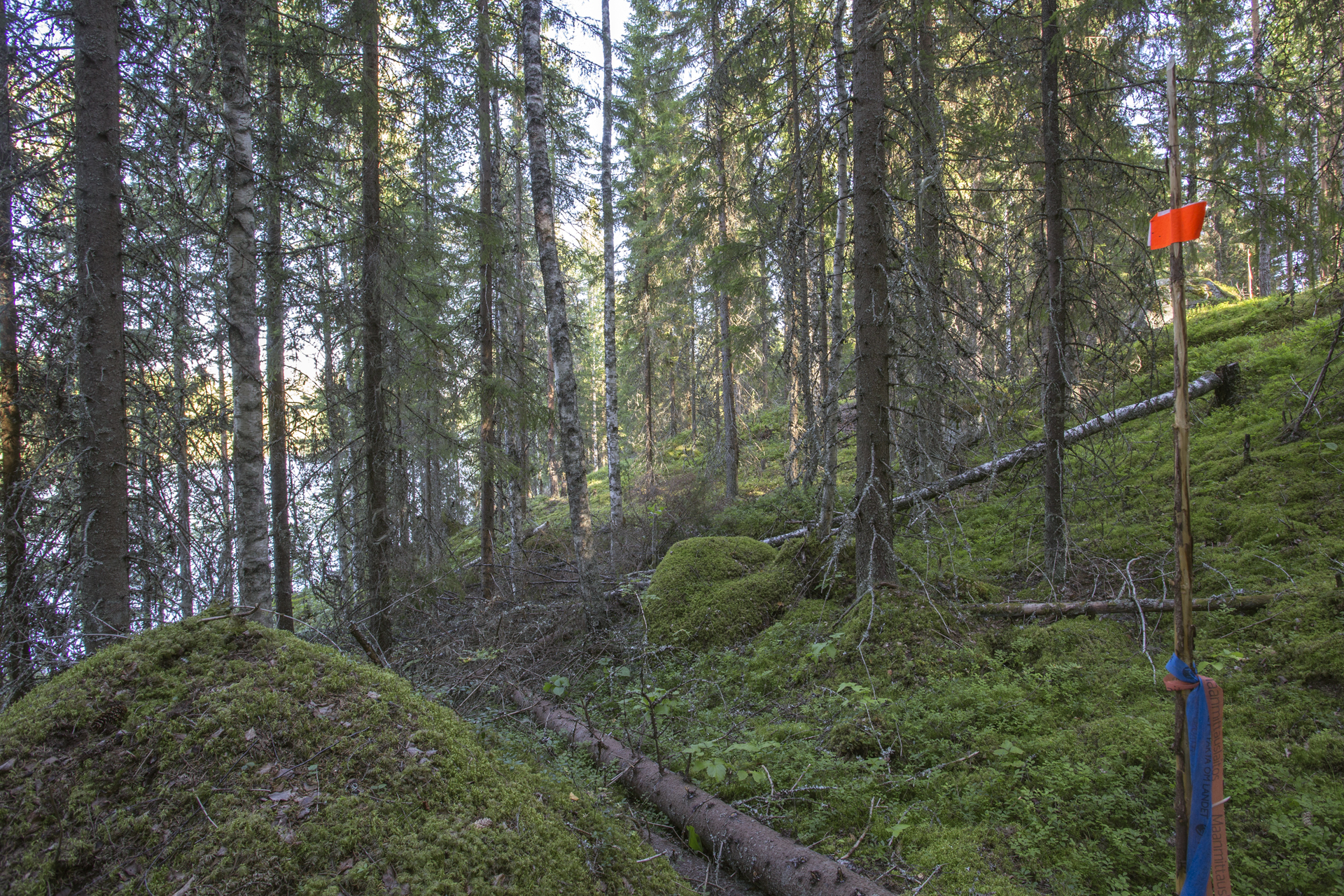 Jakamantie 153, Velaatta, Tampere