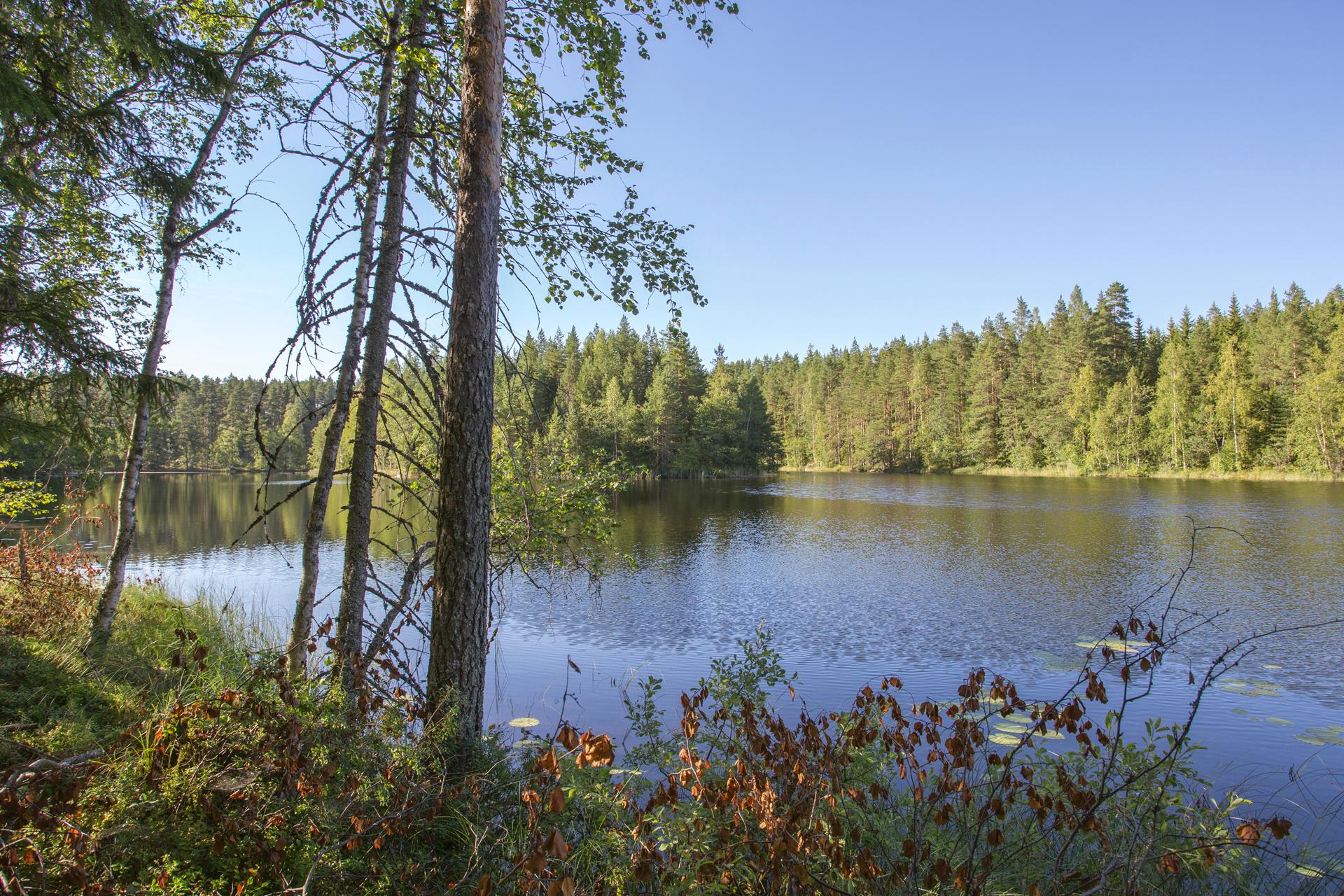 Jakamantie 153, Velaatta, Tampere