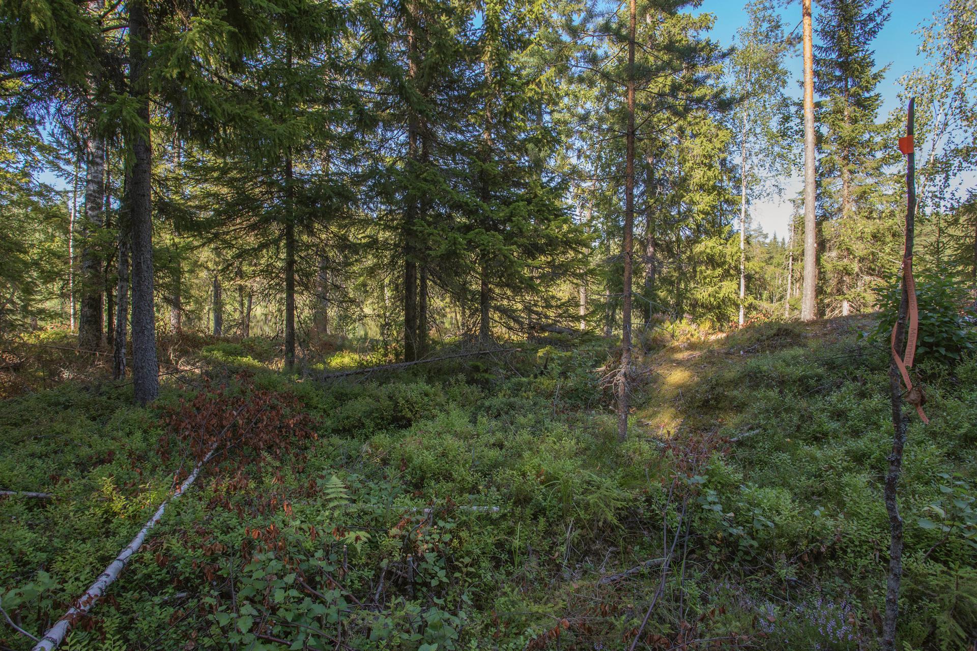 Jakamantie 153, Velaatta, Tampere