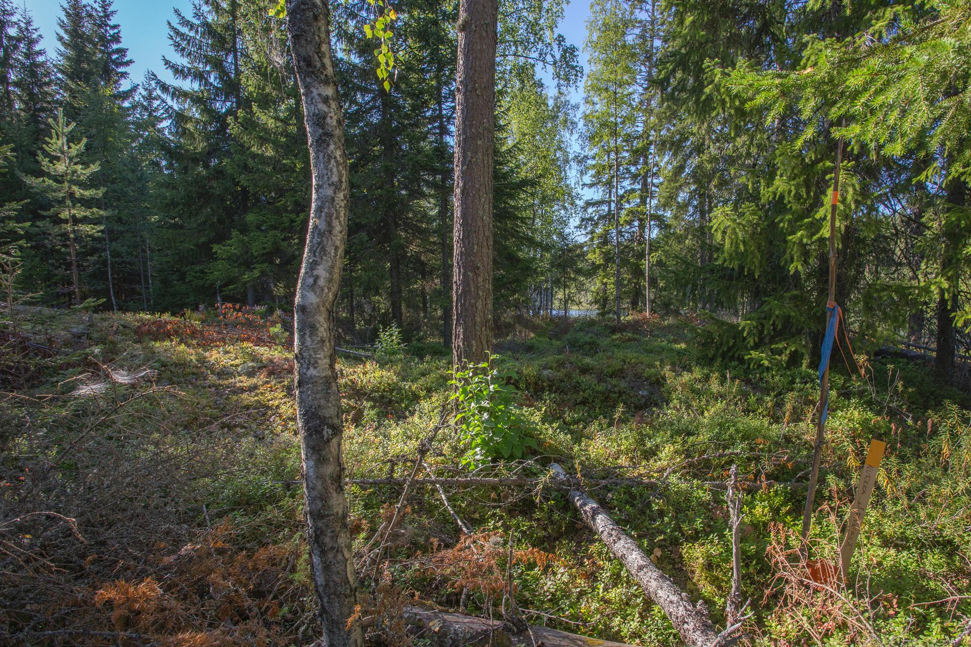 Jakamantie 153, Velaatta, Tampere