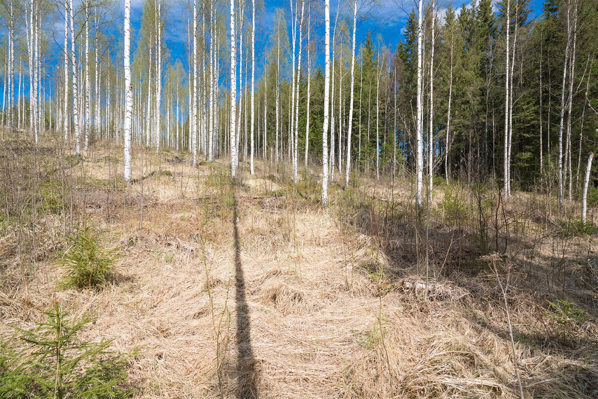 Piilontie 202, Suluslahti, Mänttä-Vilppula