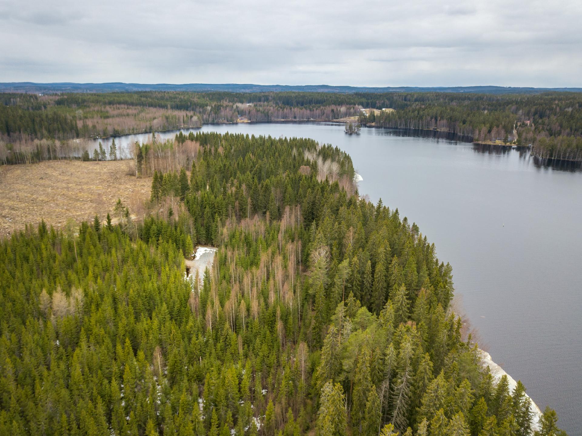 Peltoniementie 240, Kolho, Mänttä-Vilppula