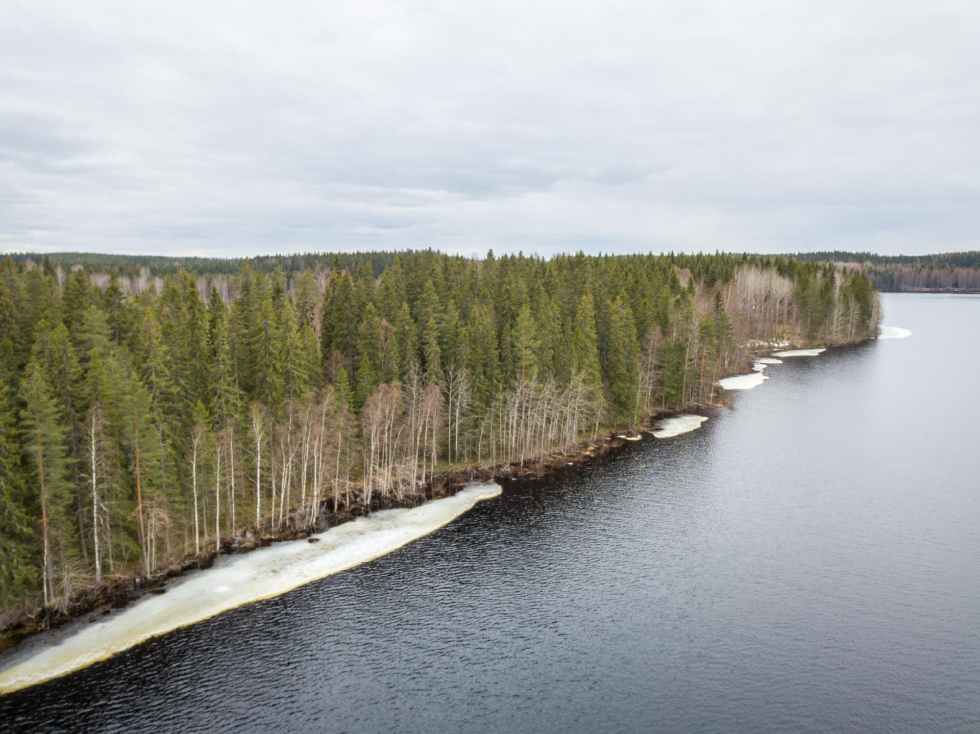 Peltoniementie 244, Kolho, Mänttä-Vilppula