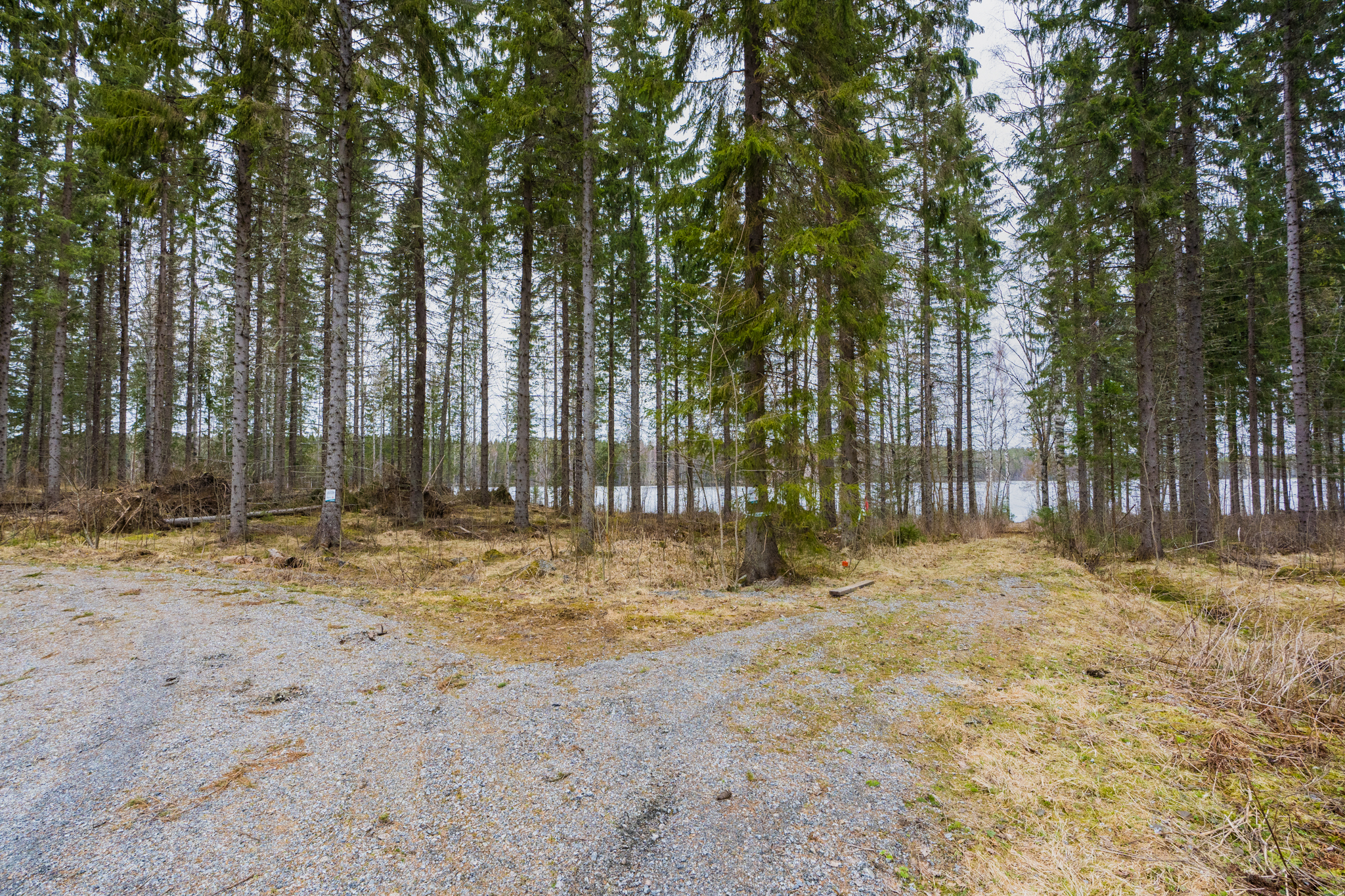 Peltoniementie 244, Kolho, Mänttä-Vilppula