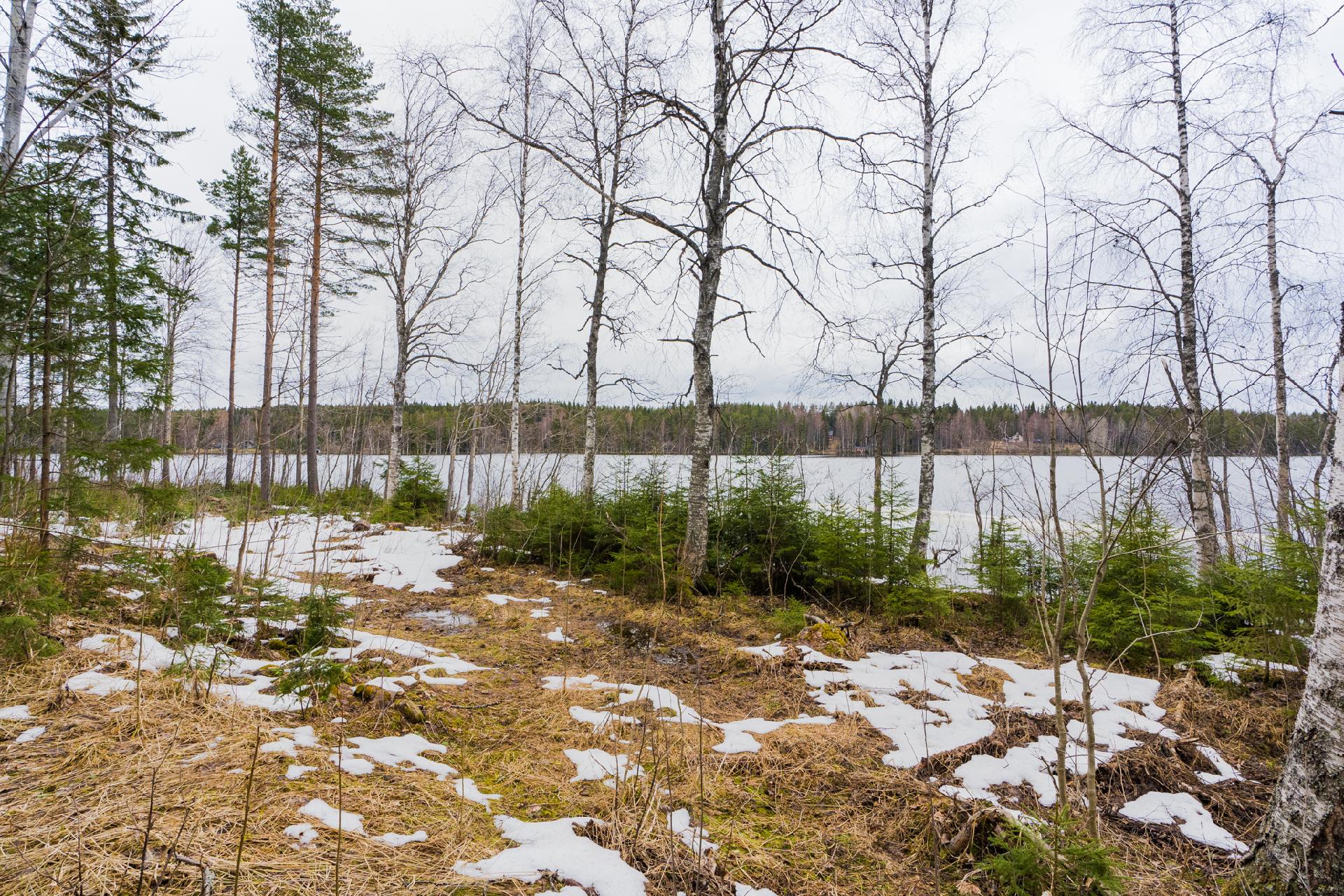 Peltoniementie 244, Kolho, Mänttä-Vilppula