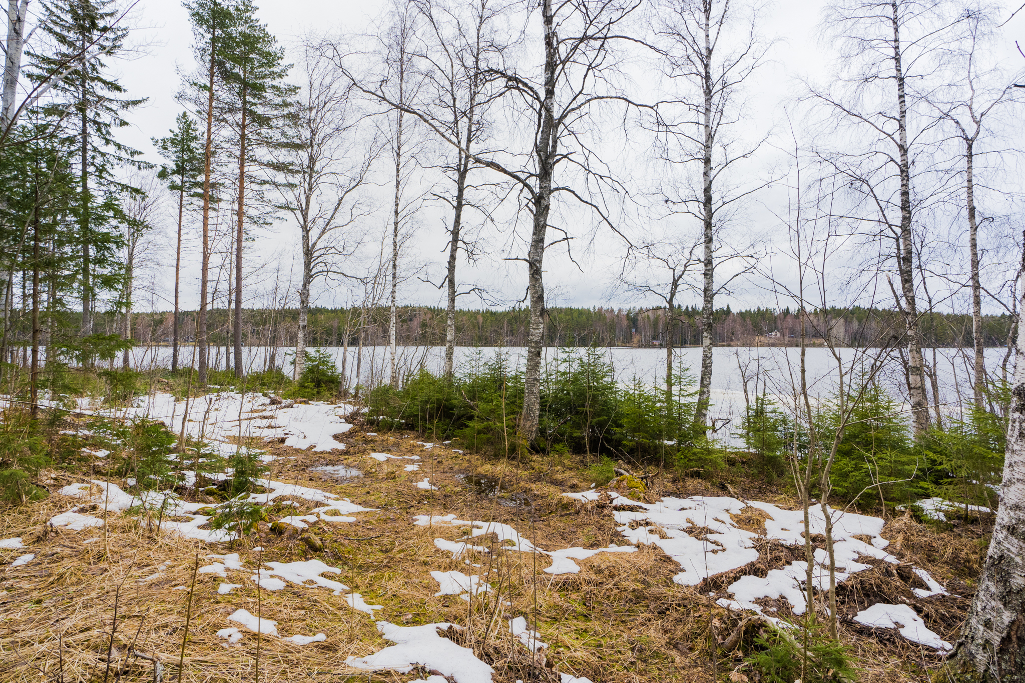 Peltoniementie 244, Kolho, Mänttä-Vilppula