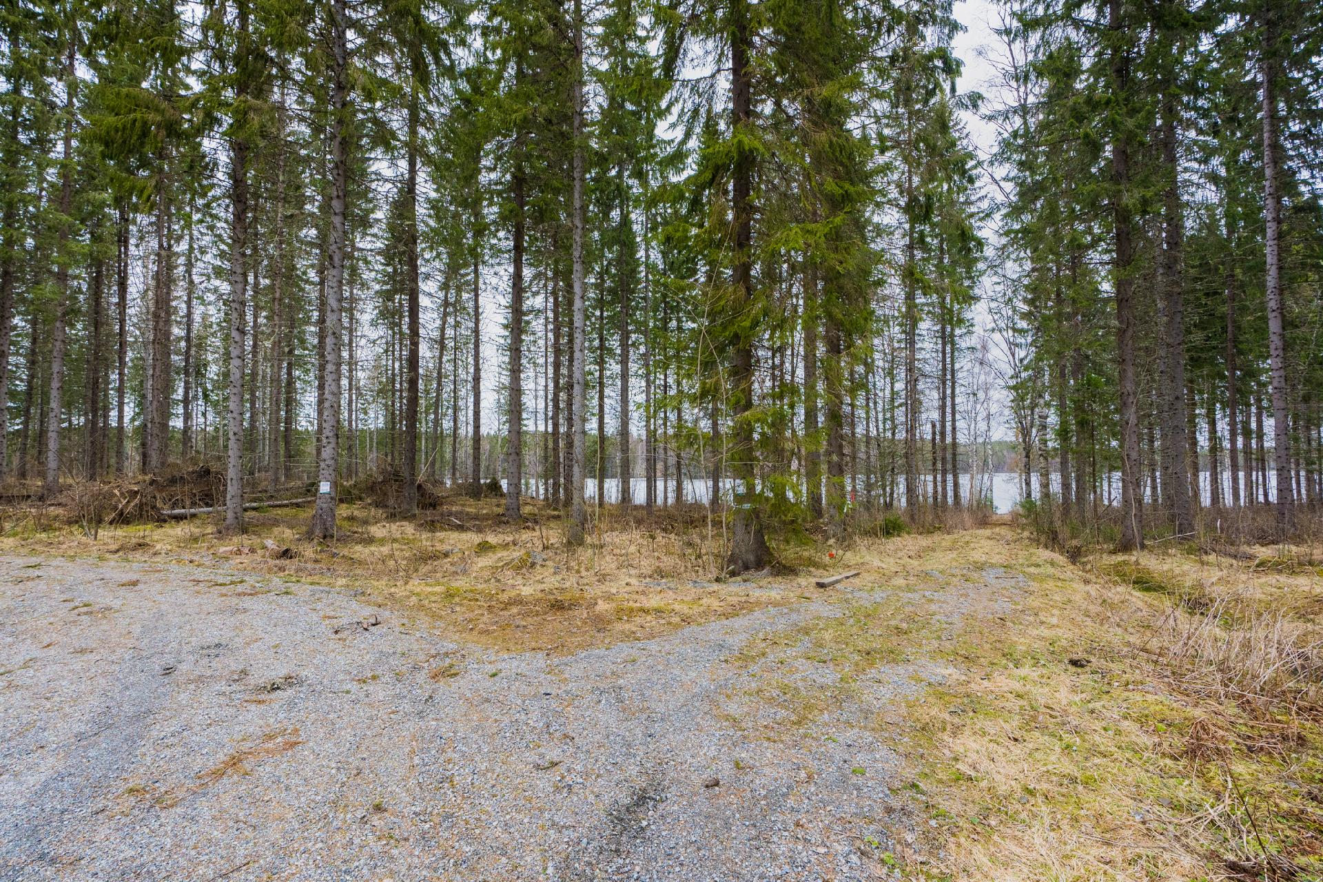 Peltoniementie 244, Kolho, Mänttä-Vilppula