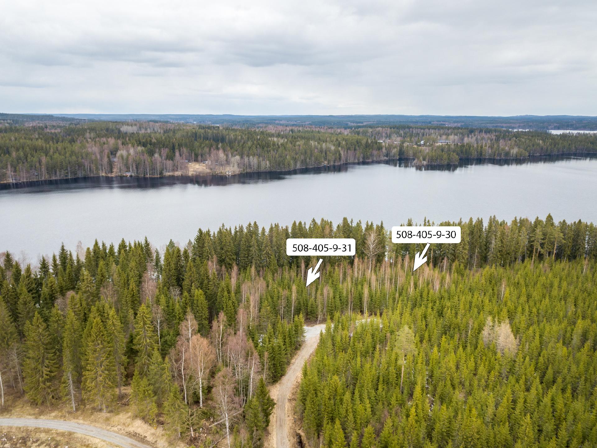 Peltoniementie 244, Kolho, Mänttä-Vilppula