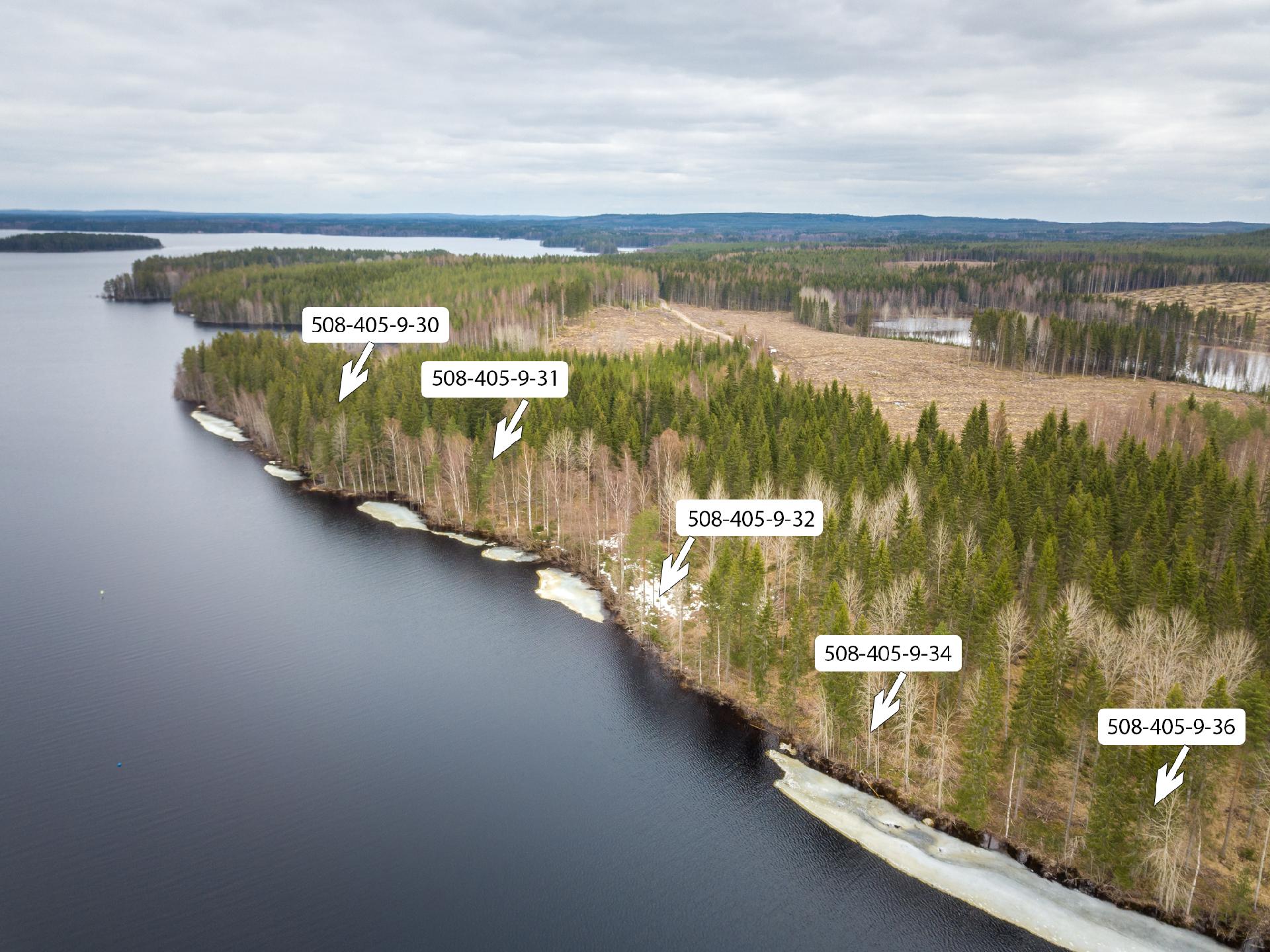 Peltoniementie 244, Kolho, Mänttä-Vilppula