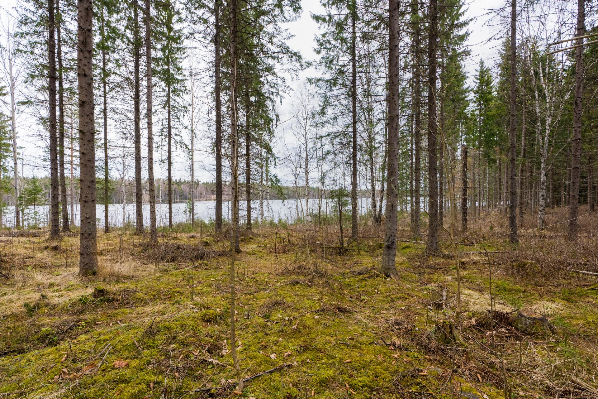 Peltoniementie 244, Kolho, Mänttä-Vilppula