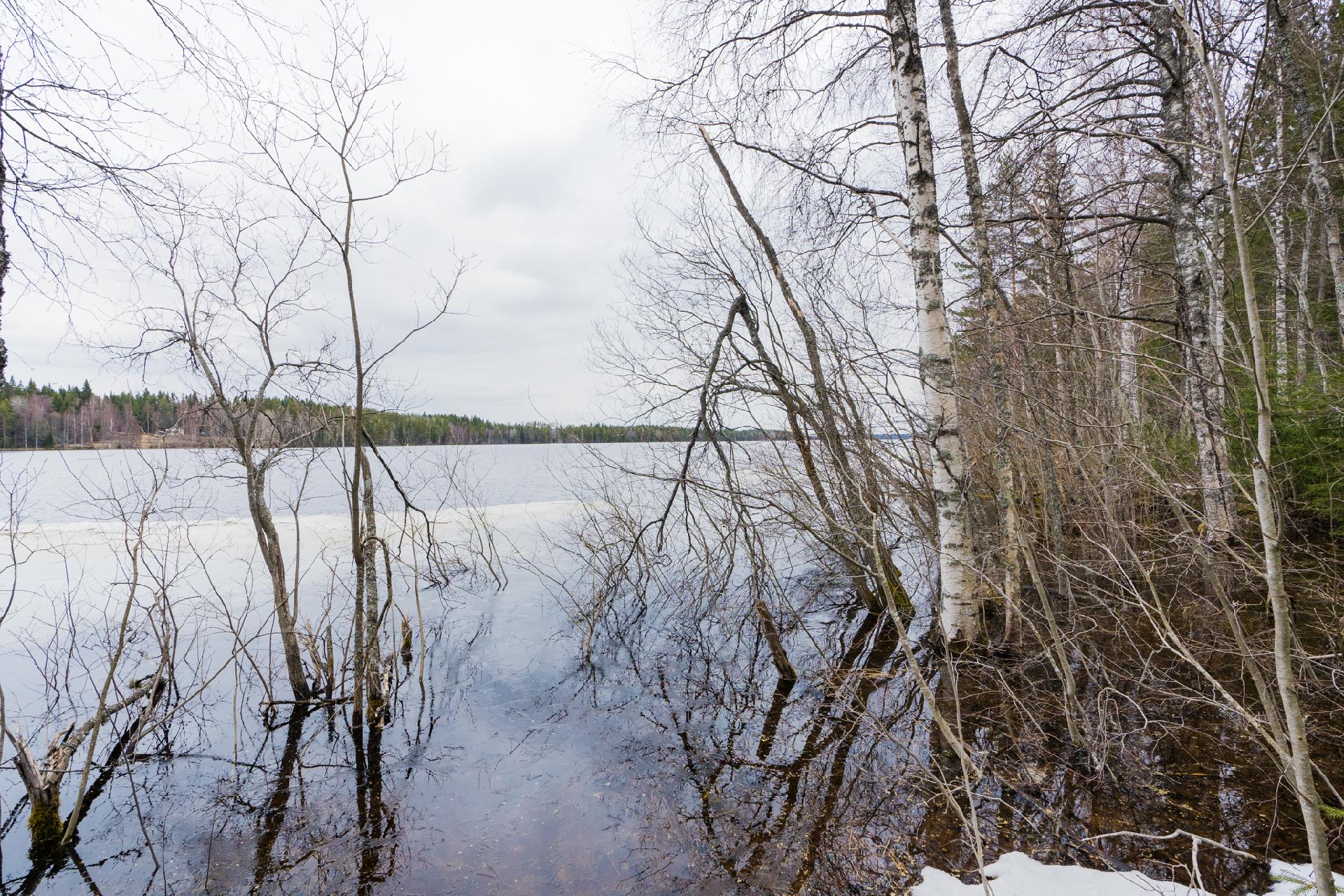 Peltoniementie 244, Kolho, Mänttä-Vilppula