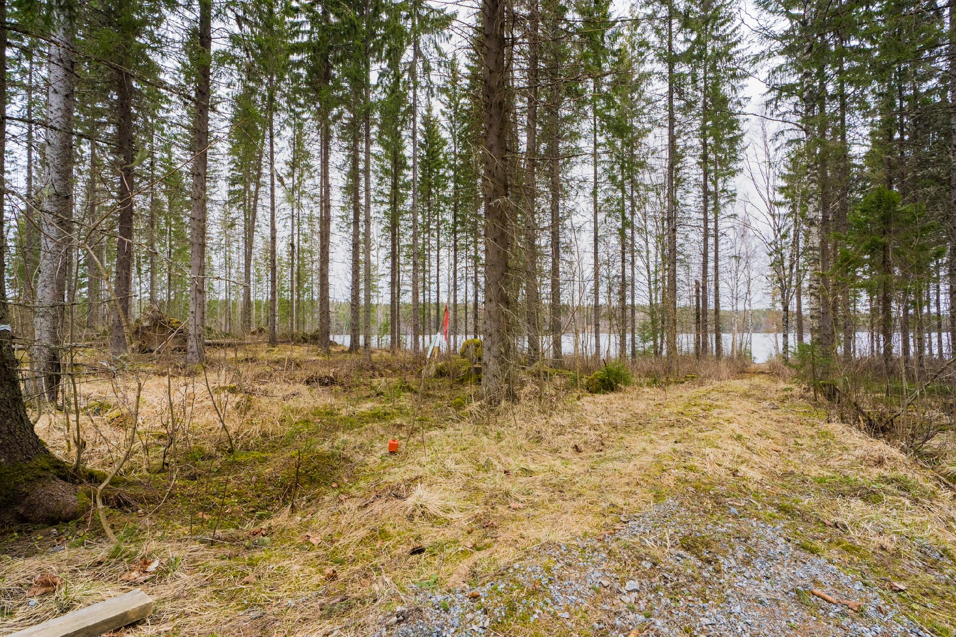 Peltoniementie 244, Kolho, Mänttä-Vilppula