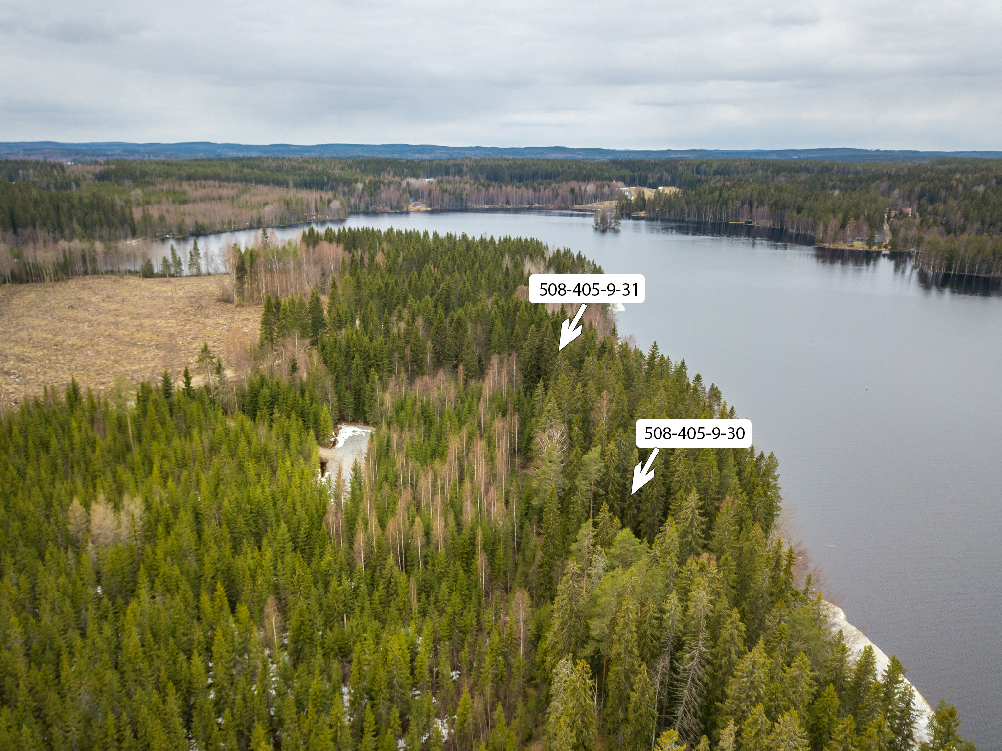 Peltoniementie 248, Kolho, Mänttä-Vilppula