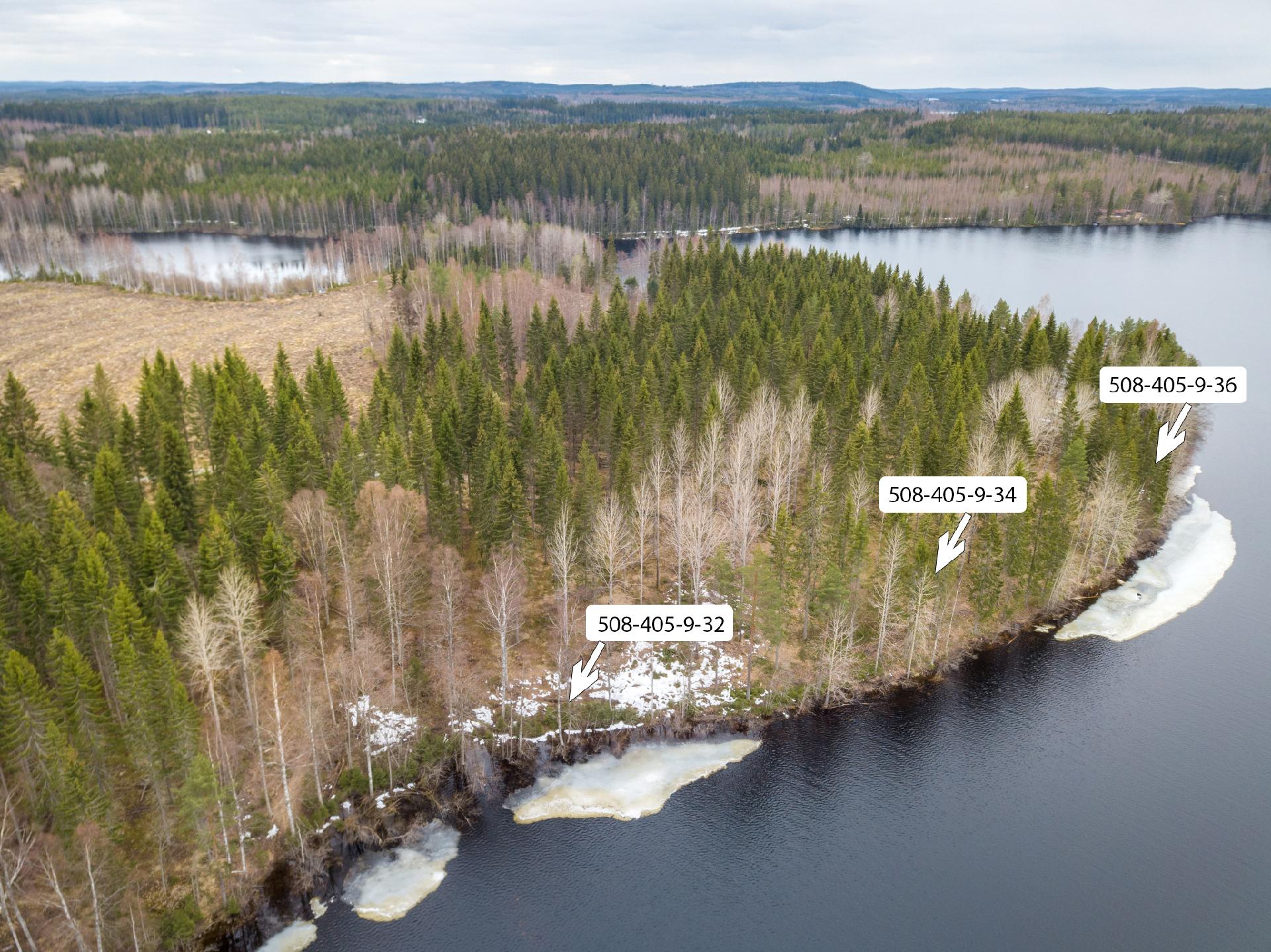 Peltoniementie 248, Kolho, Mänttä-Vilppula