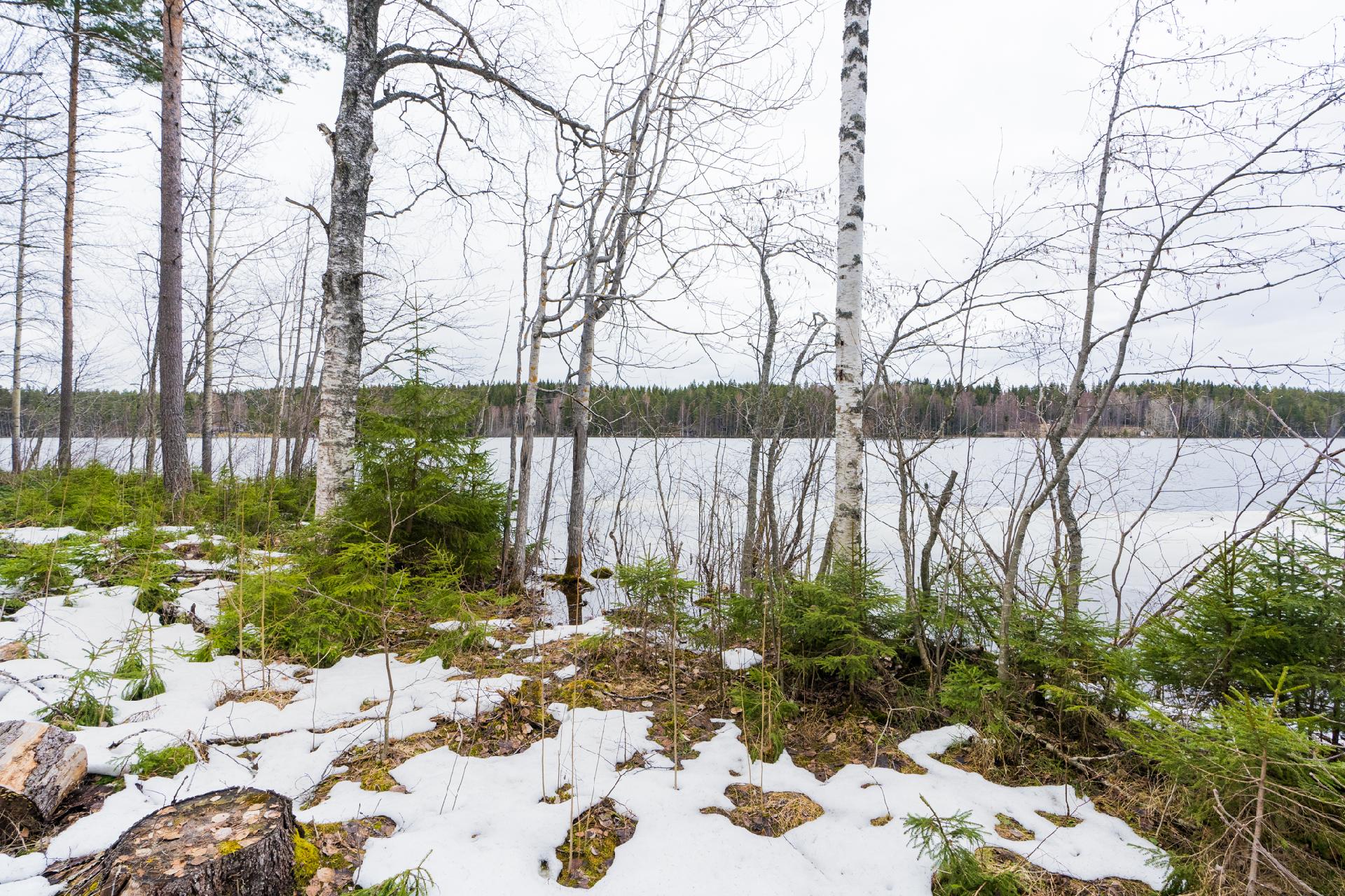 Peltoniementie 248, Kolho, Mänttä-Vilppula