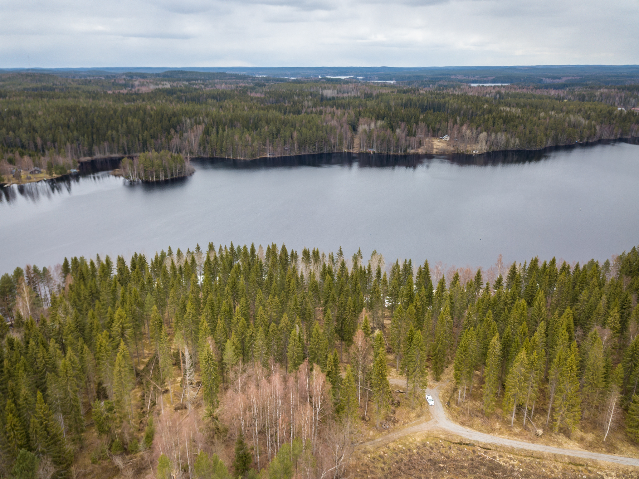 Peltoniementie 250, Kolho, Mänttä-Vilppula
