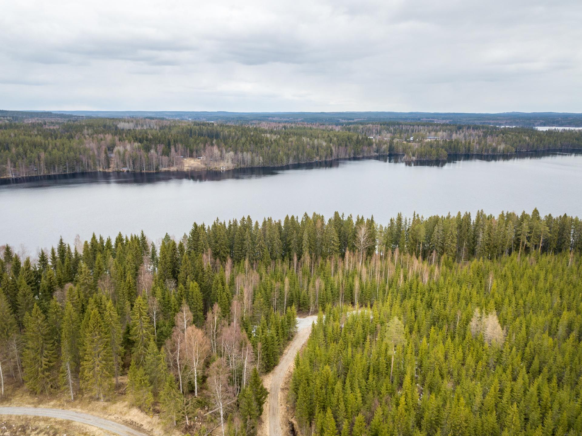 Peltoniementie 250, Kolho, Mänttä-Vilppula
