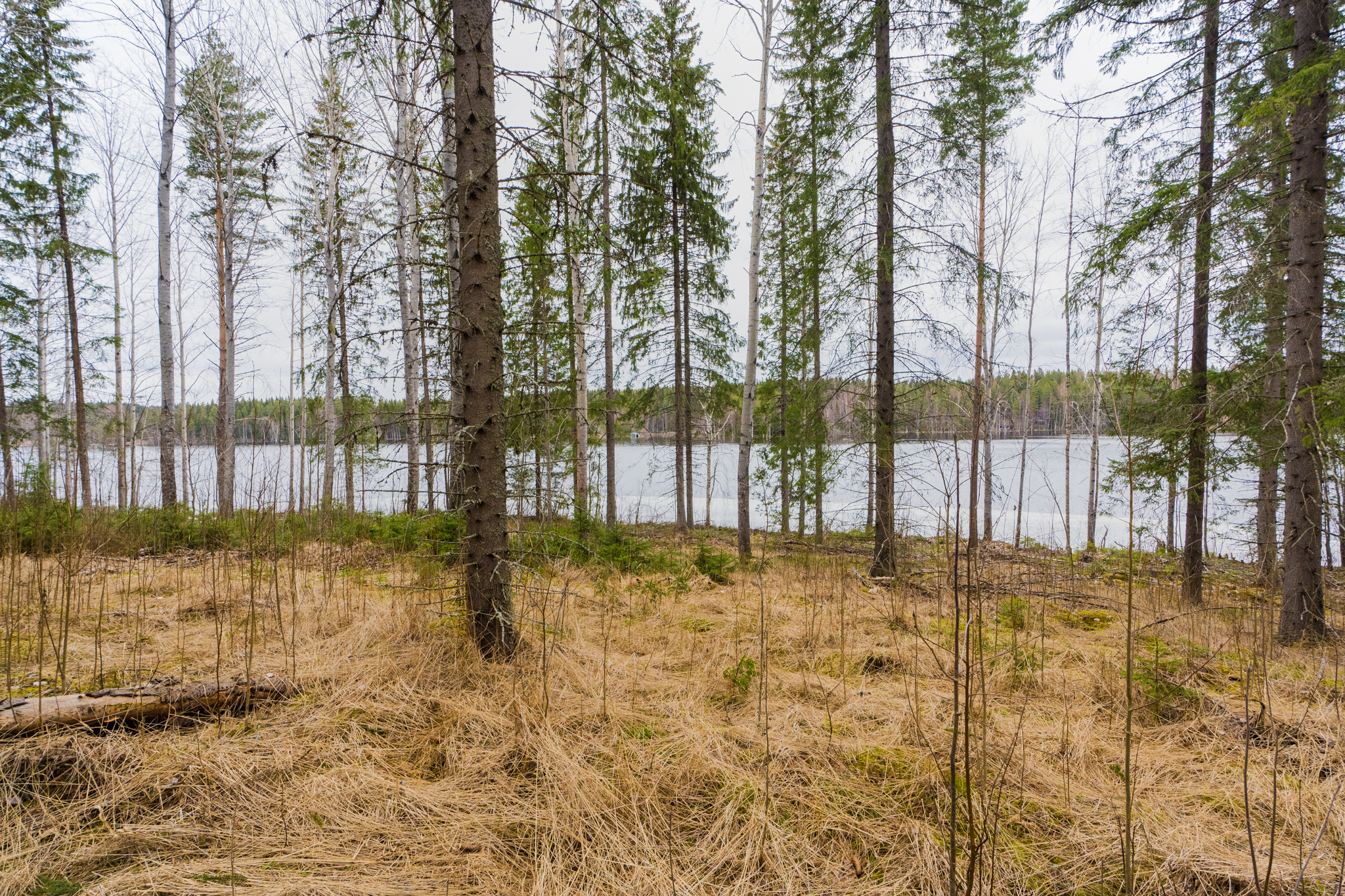 Peltoniementie 250, Kolho, Mänttä-Vilppula