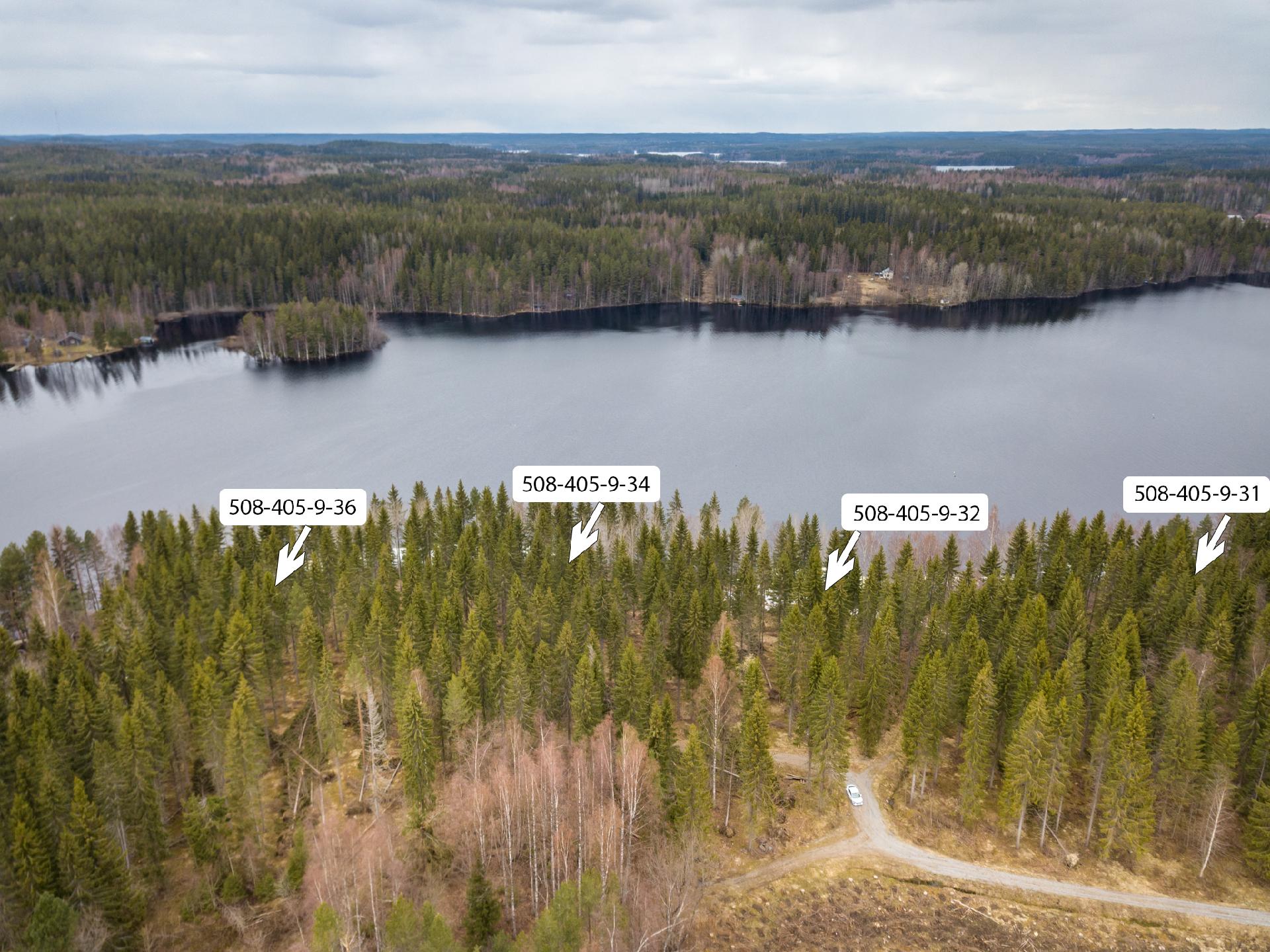 Peltoniementie 250, Kolho, Mänttä-Vilppula