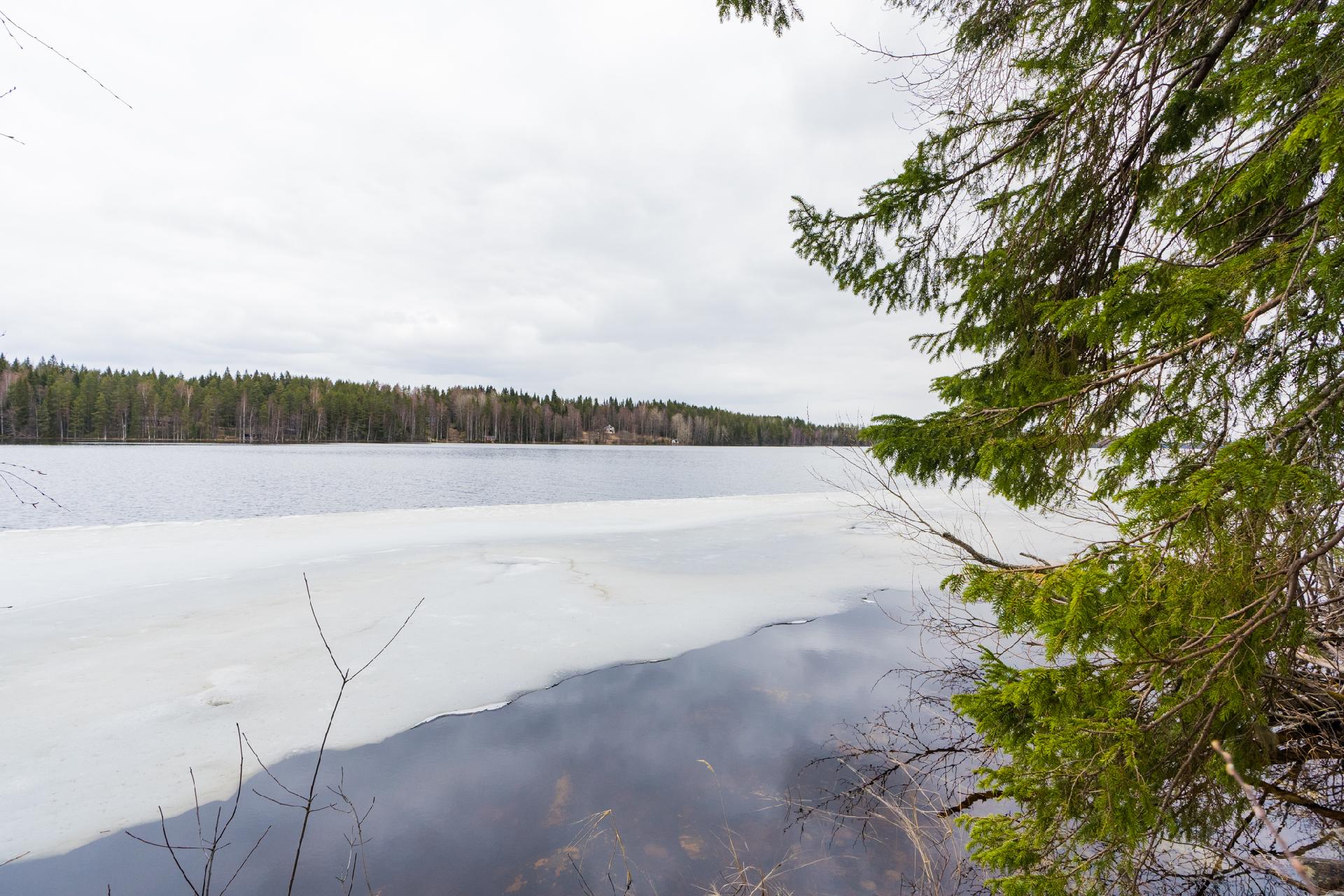 Peltoniementie 250, Kolho, Mänttä-Vilppula