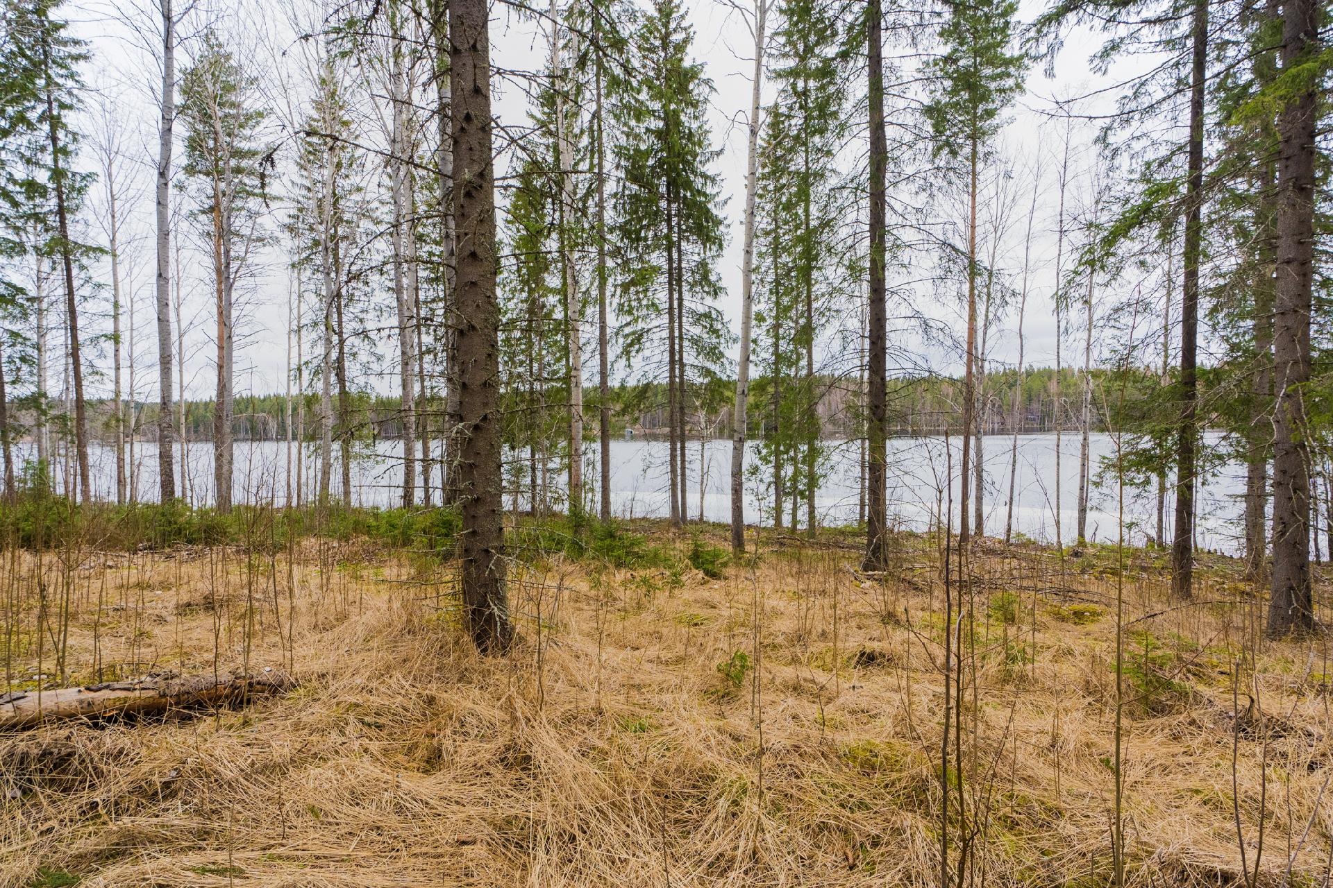 Peltoniementie 250, Kolho, Mänttä-Vilppula