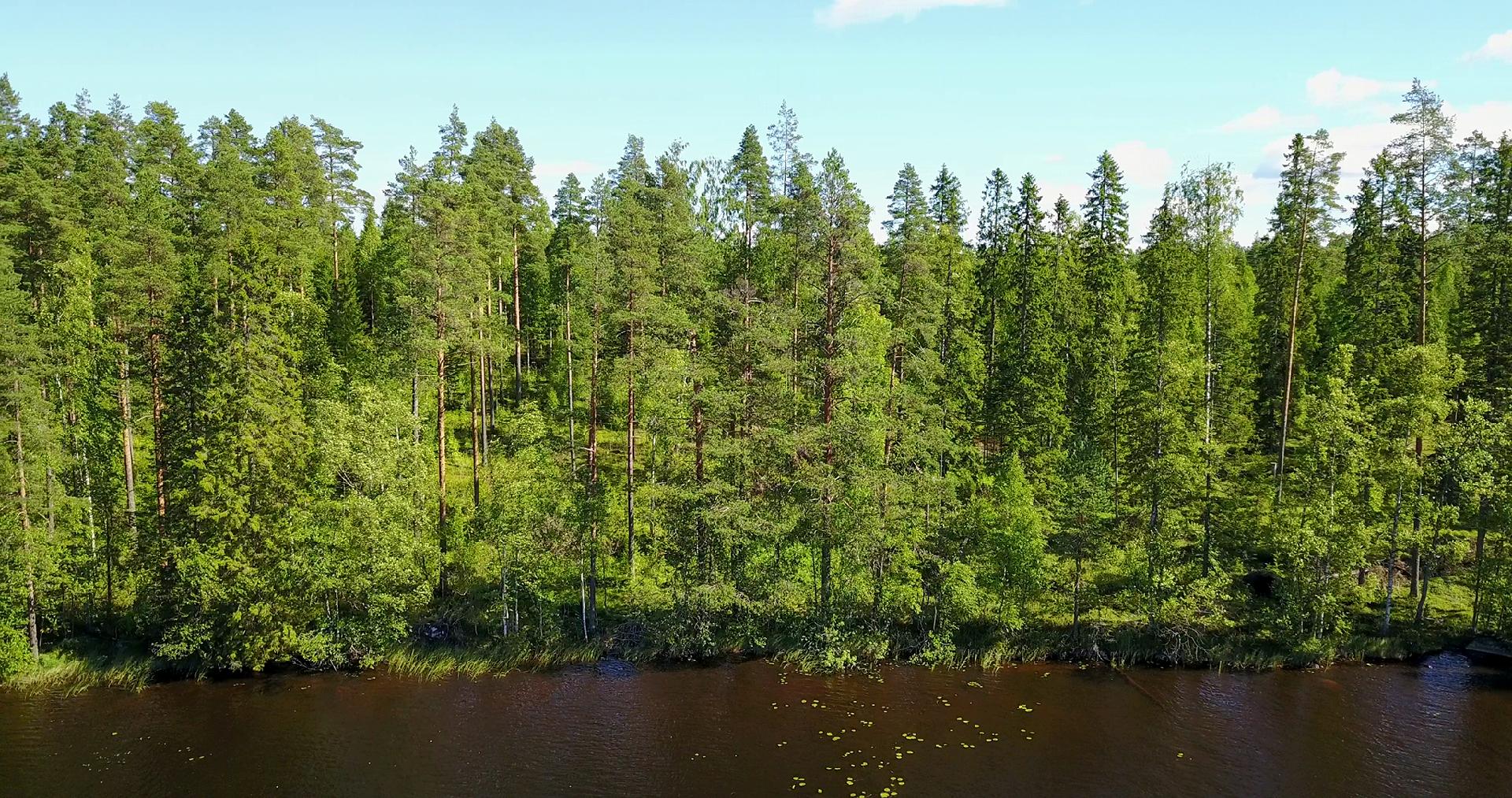 Jusseronsalontie 420, Keuruu, Keuruu