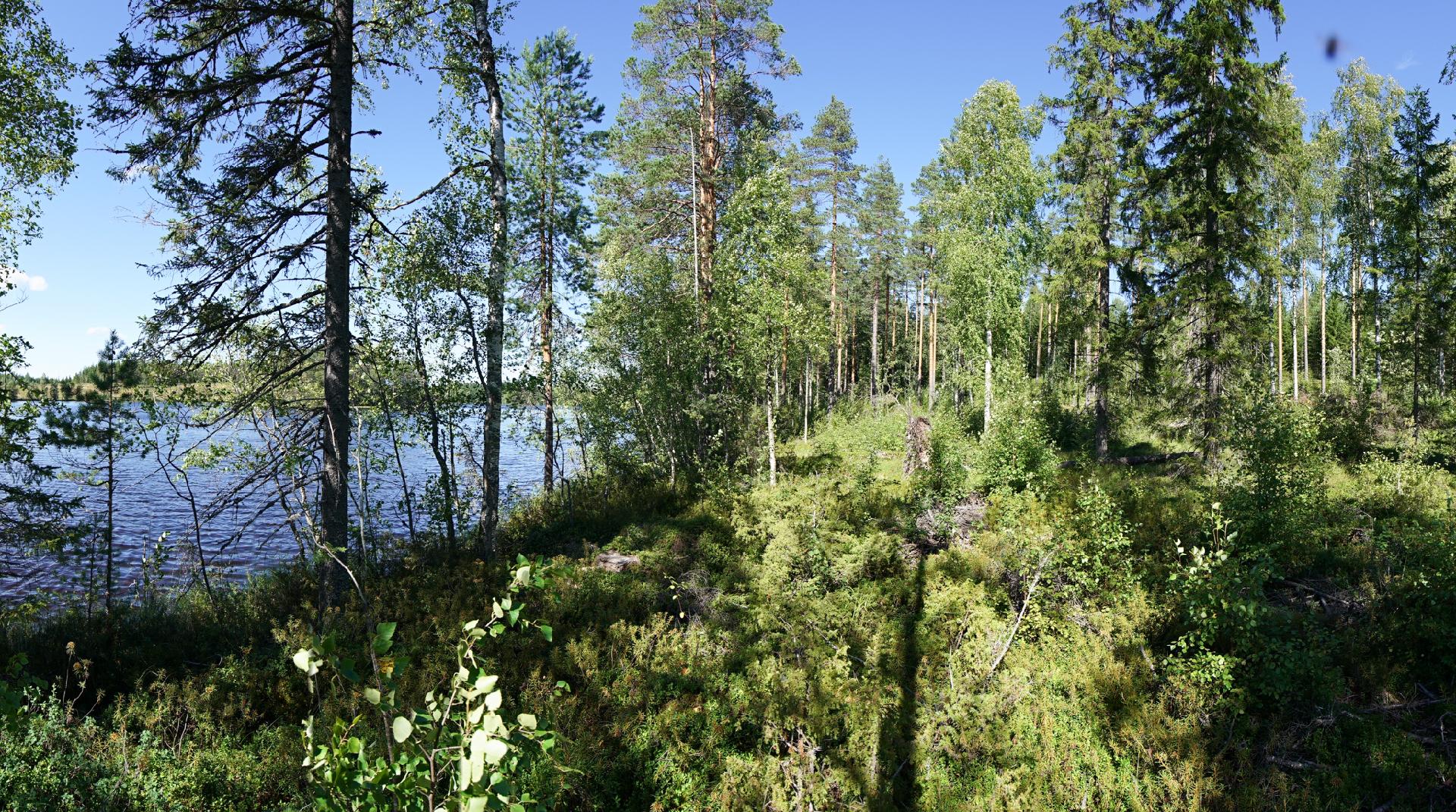 Jusseronsalontie 420, Keuruu, Keuruu