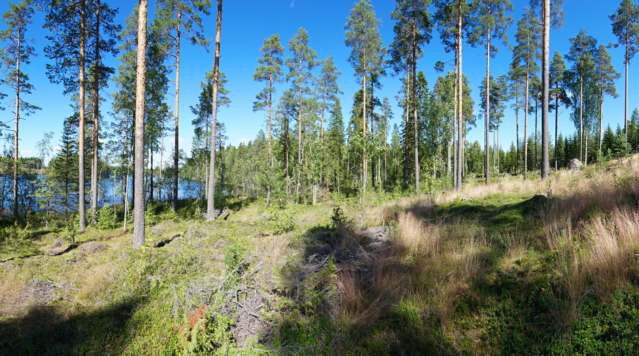 Jusseronsalontie 420, Keuruu, Keuruu