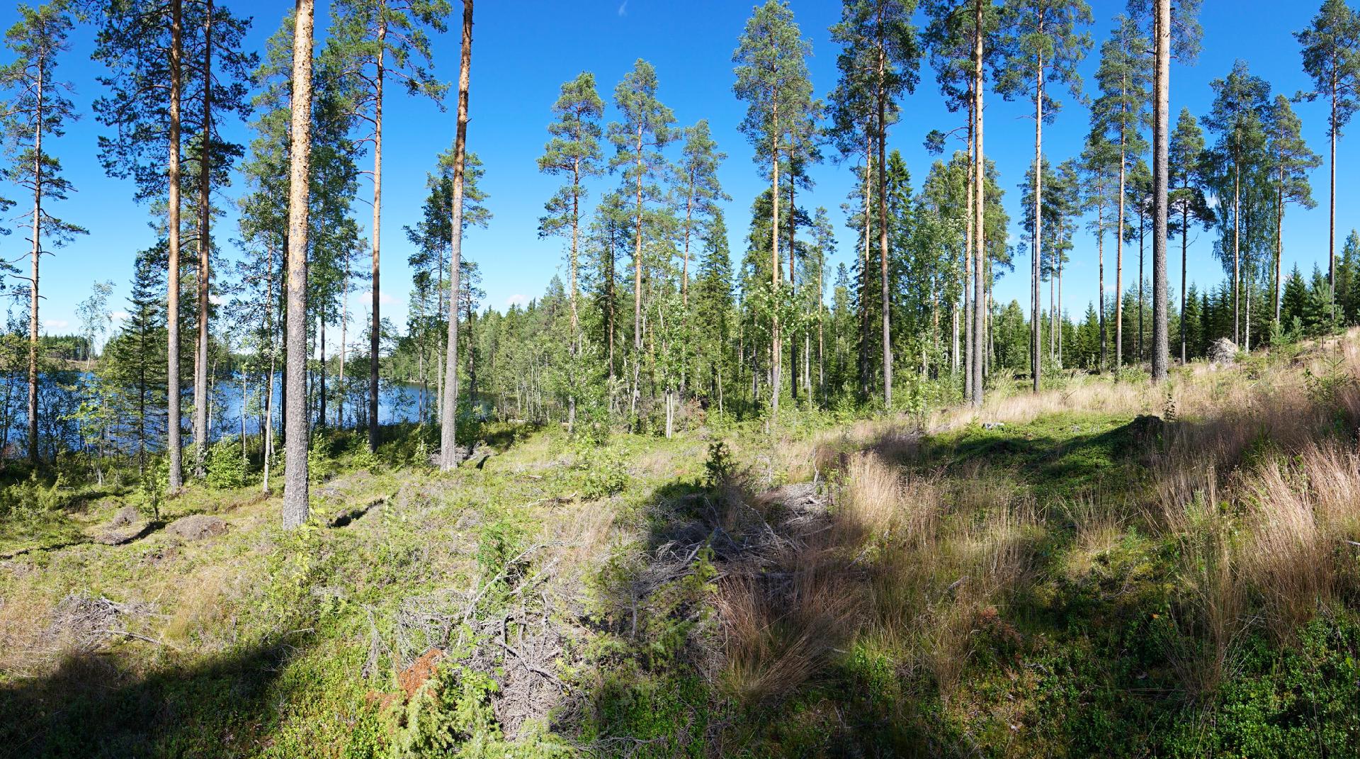 Jusseronsalontie 420, Keuruu, Keuruu